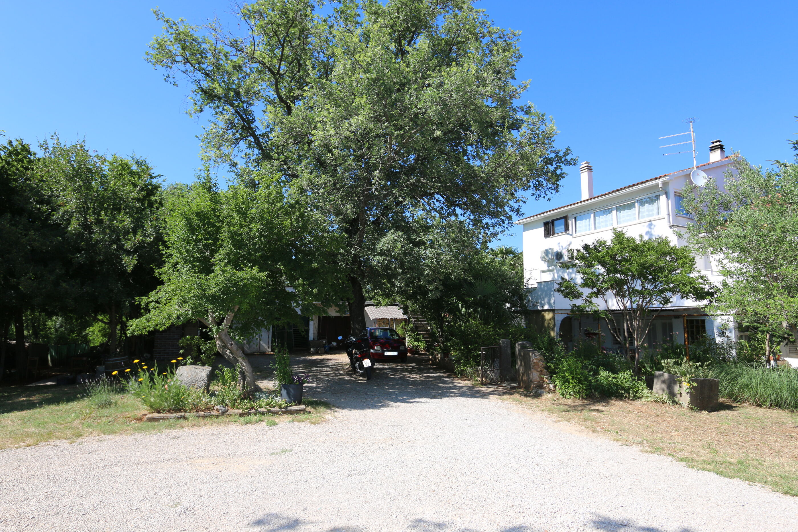 Apartment Petra 56038-A1