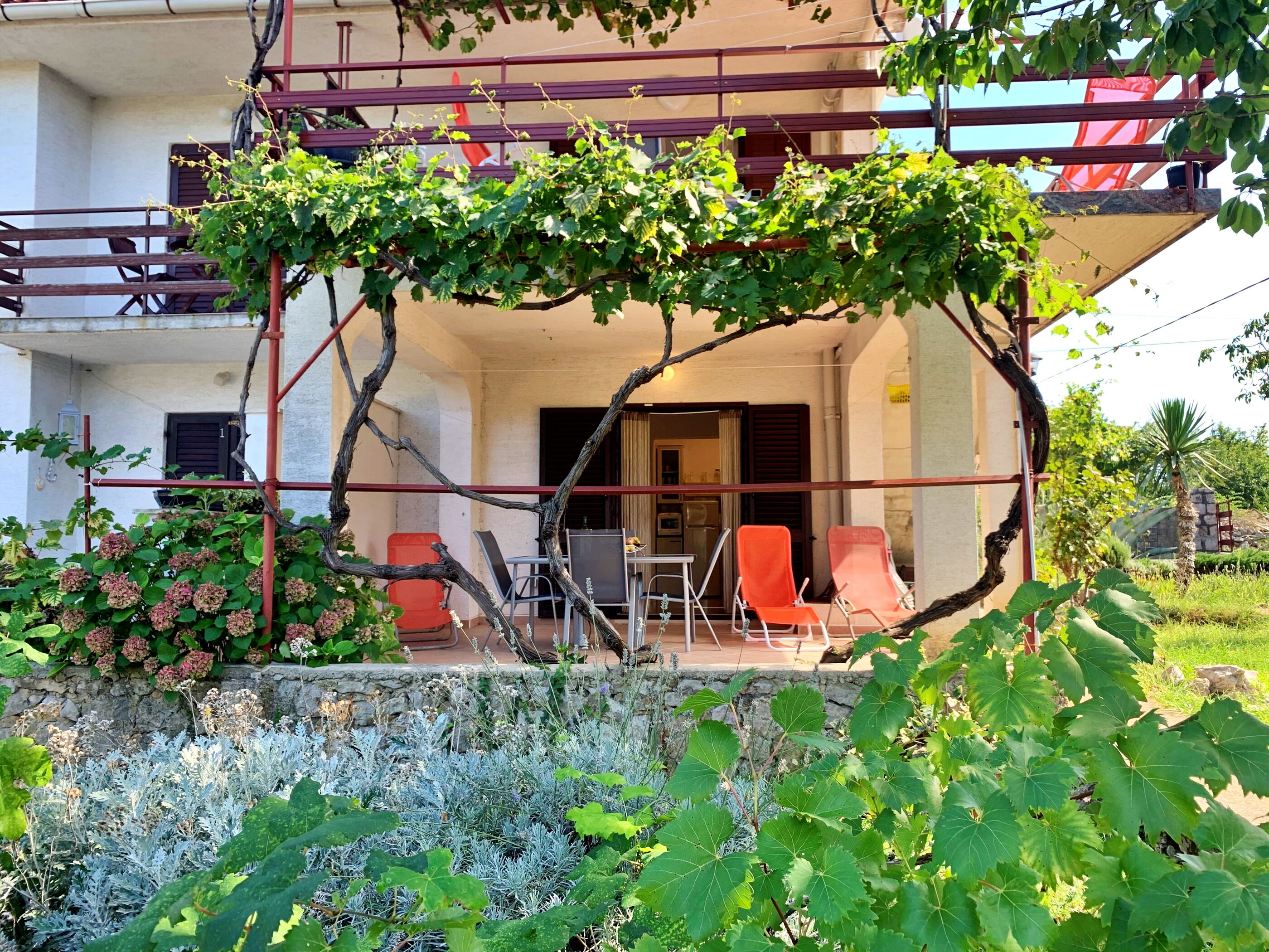 Apartments Viola 64391-A1