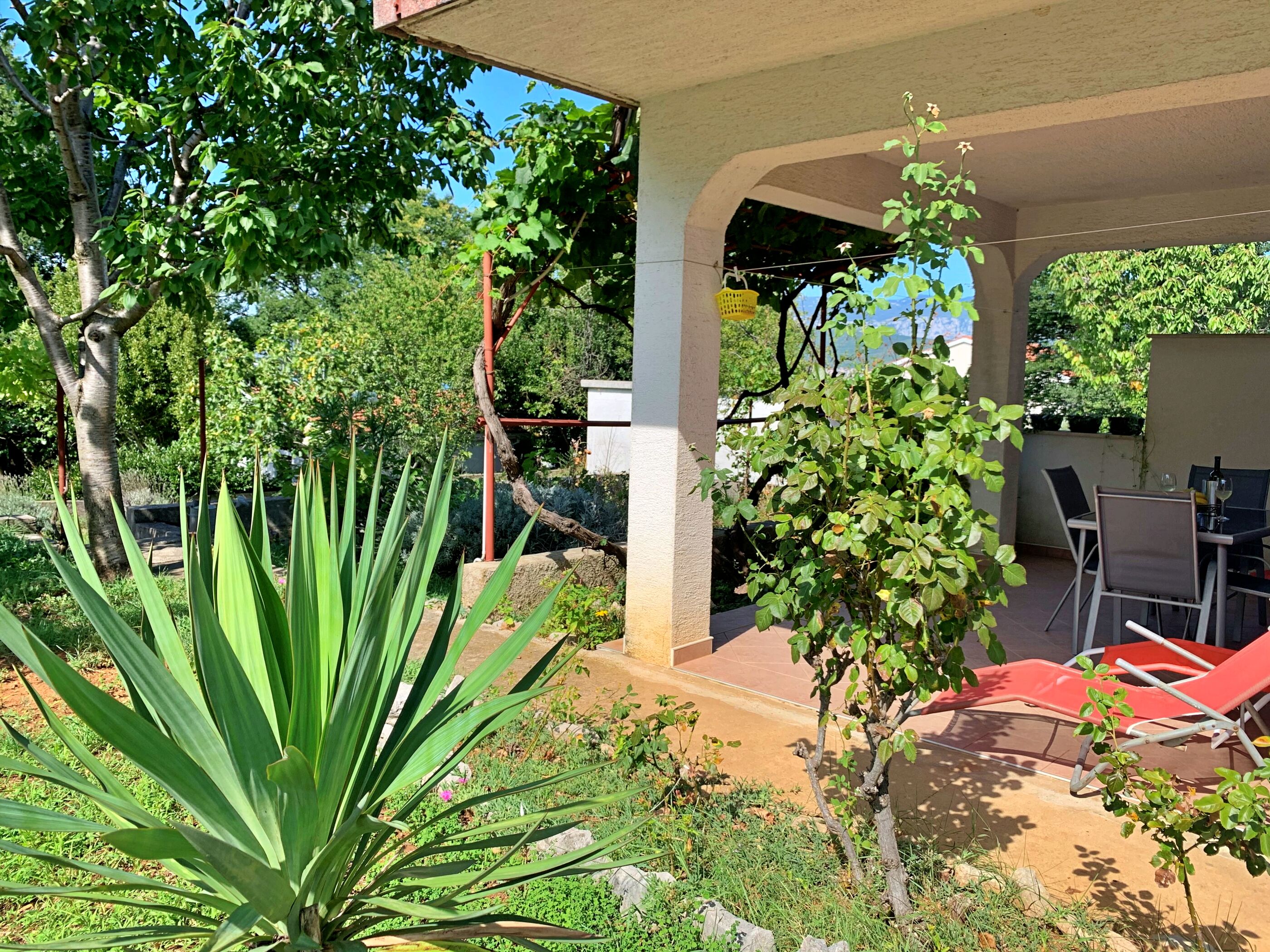Apartments Viola 64391-A1