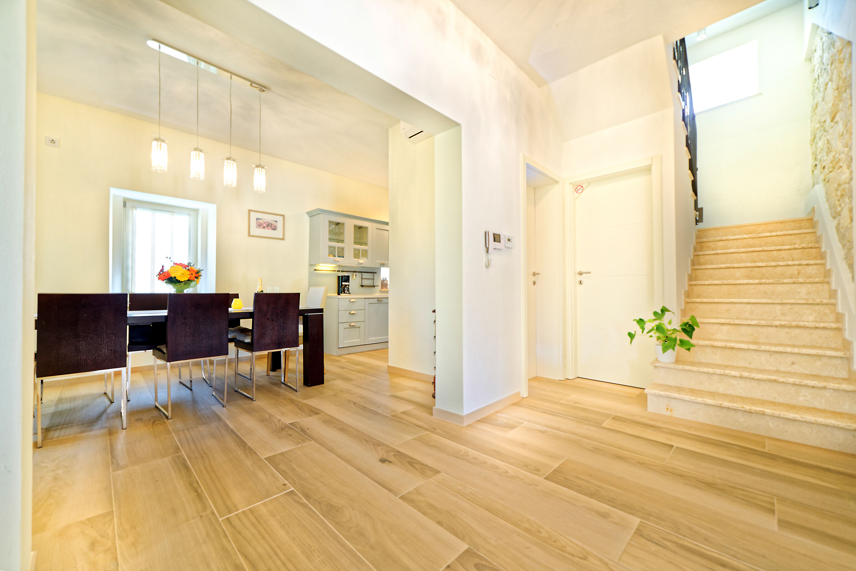 Villa Demetra s bazenom i predivnim pogledom na Motovun V8931-K1