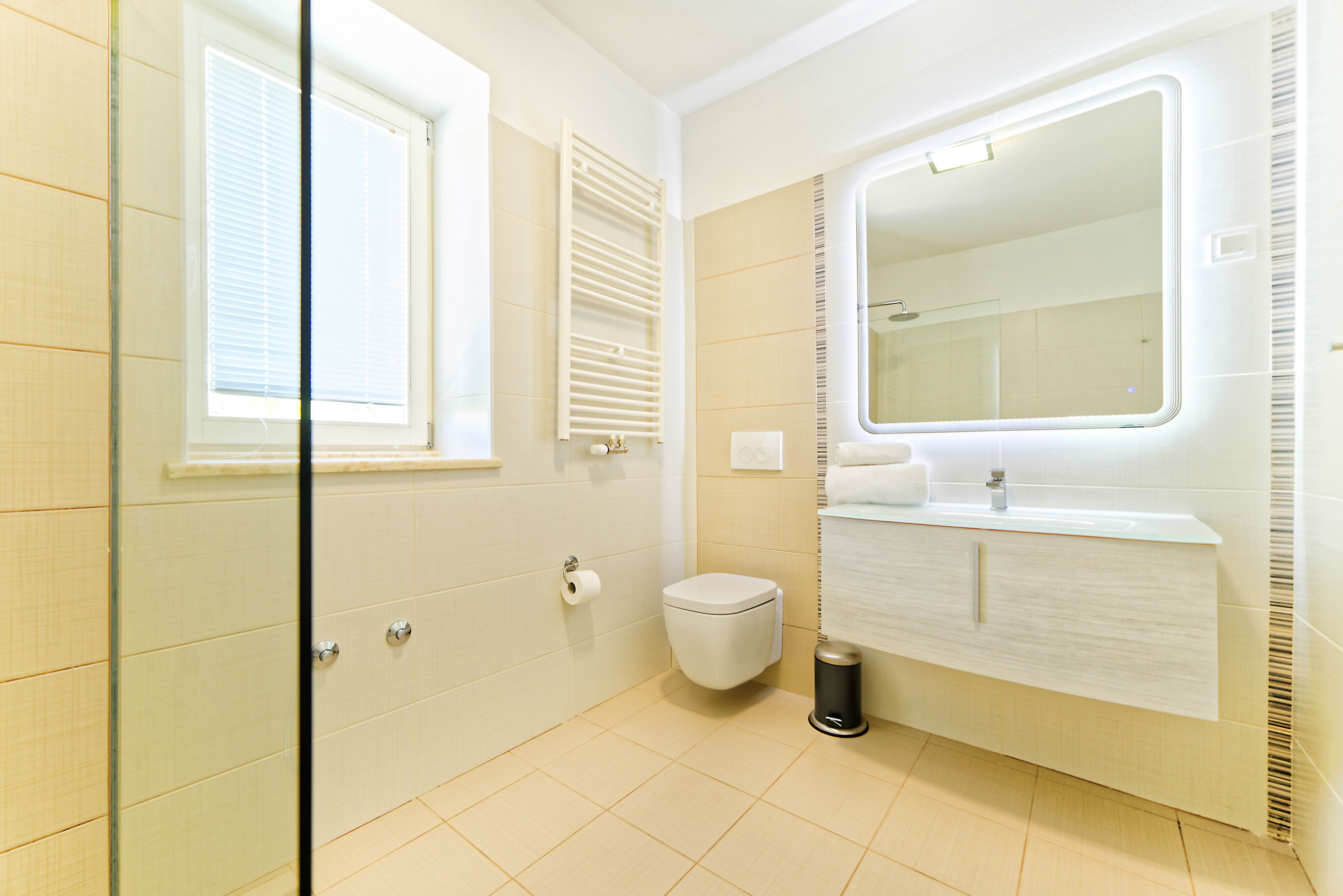 Villa Demetra s bazenom i predivnim pogledom na Motovun V8931-K1