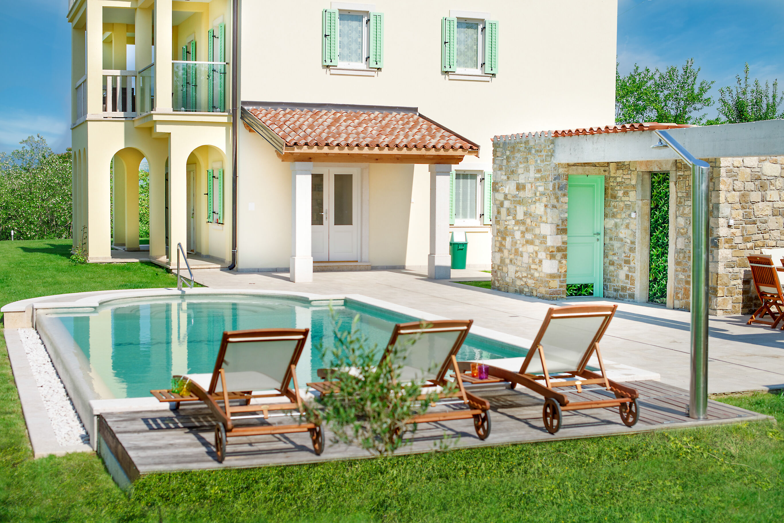 Villa Demetra s bazenom i predivnim pogledom na Motovun V8931-K1
