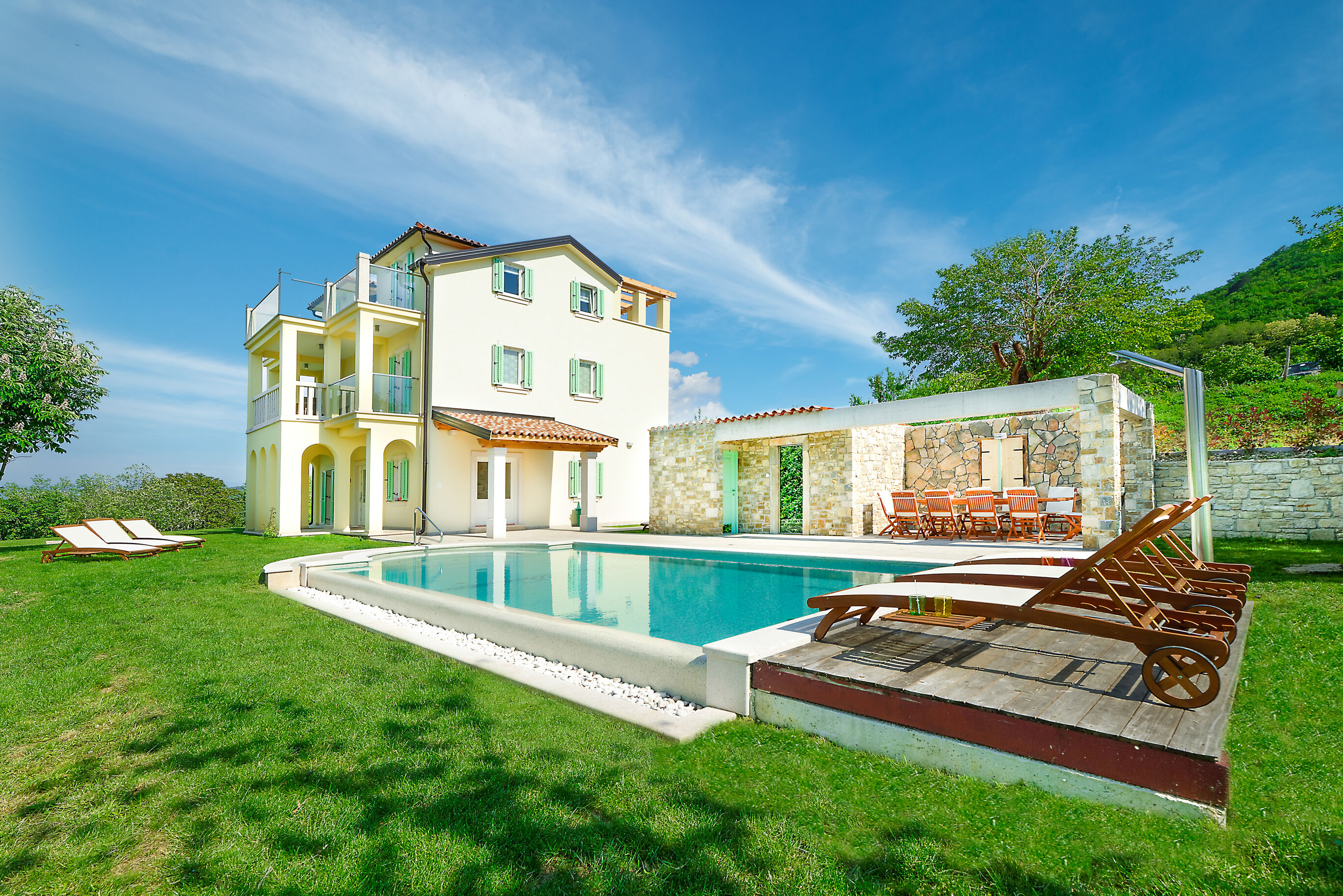 Villa Demetra s bazenom i predivnim pogledom na Motovun V8931-K1