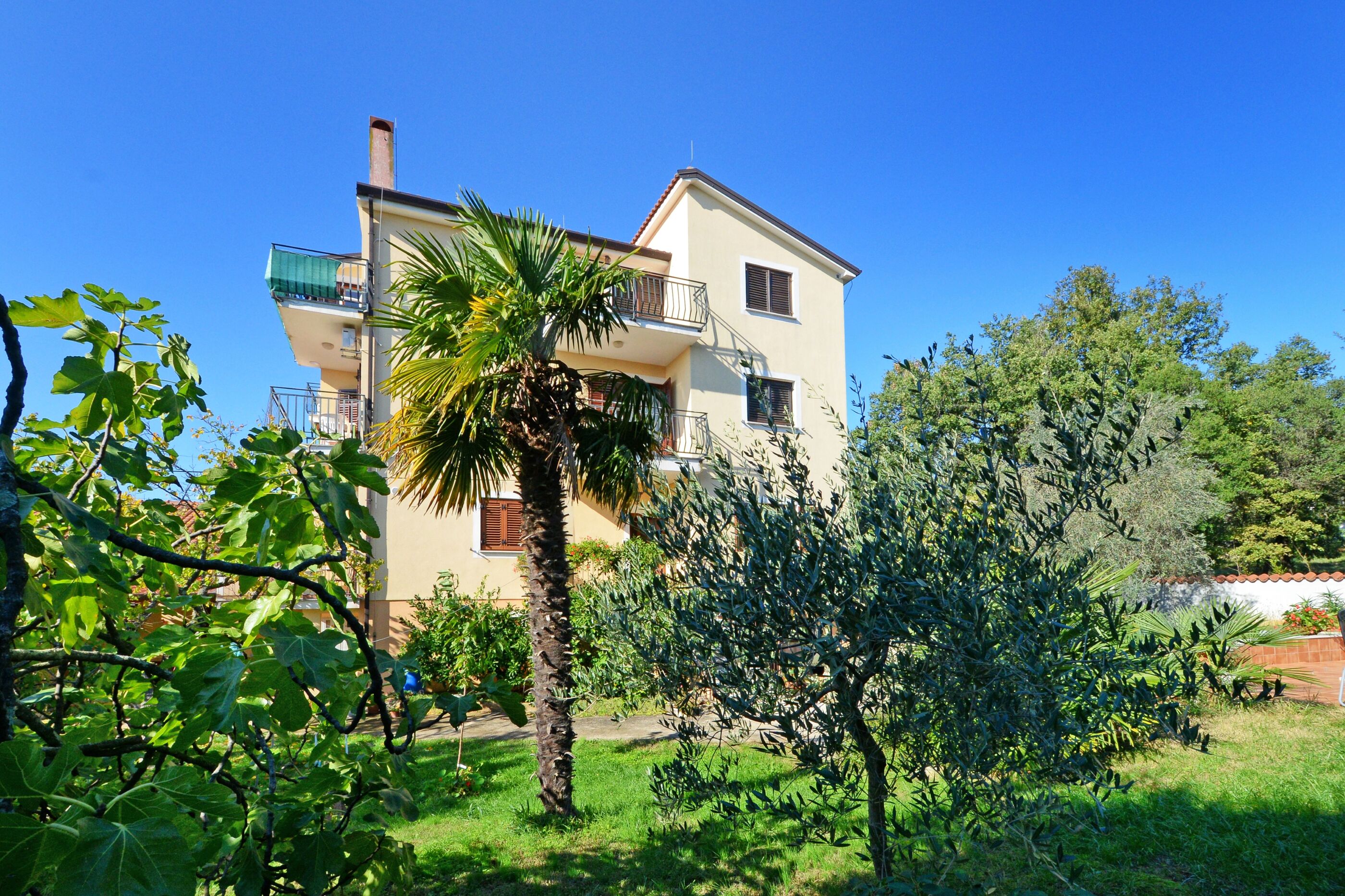 Apartments Albina Valiza 79179-A4