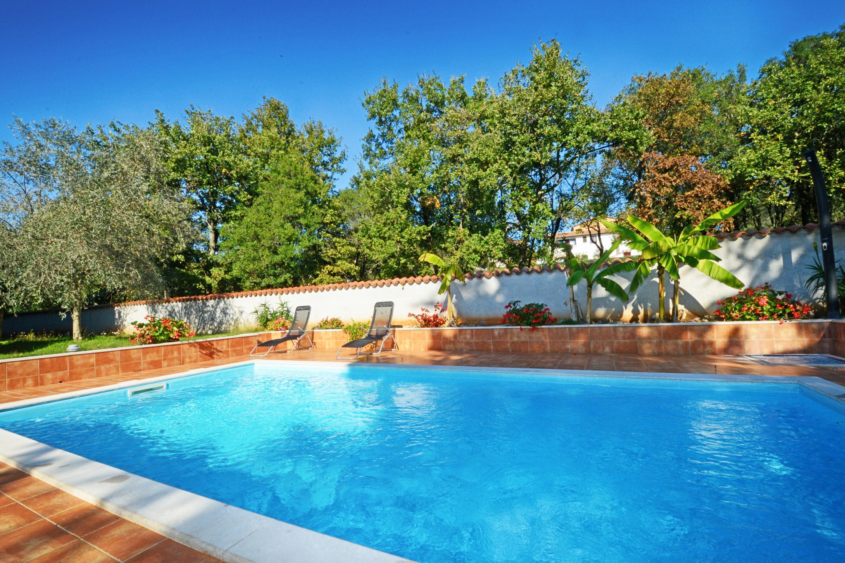 Photo of Apartments Albina Valiza