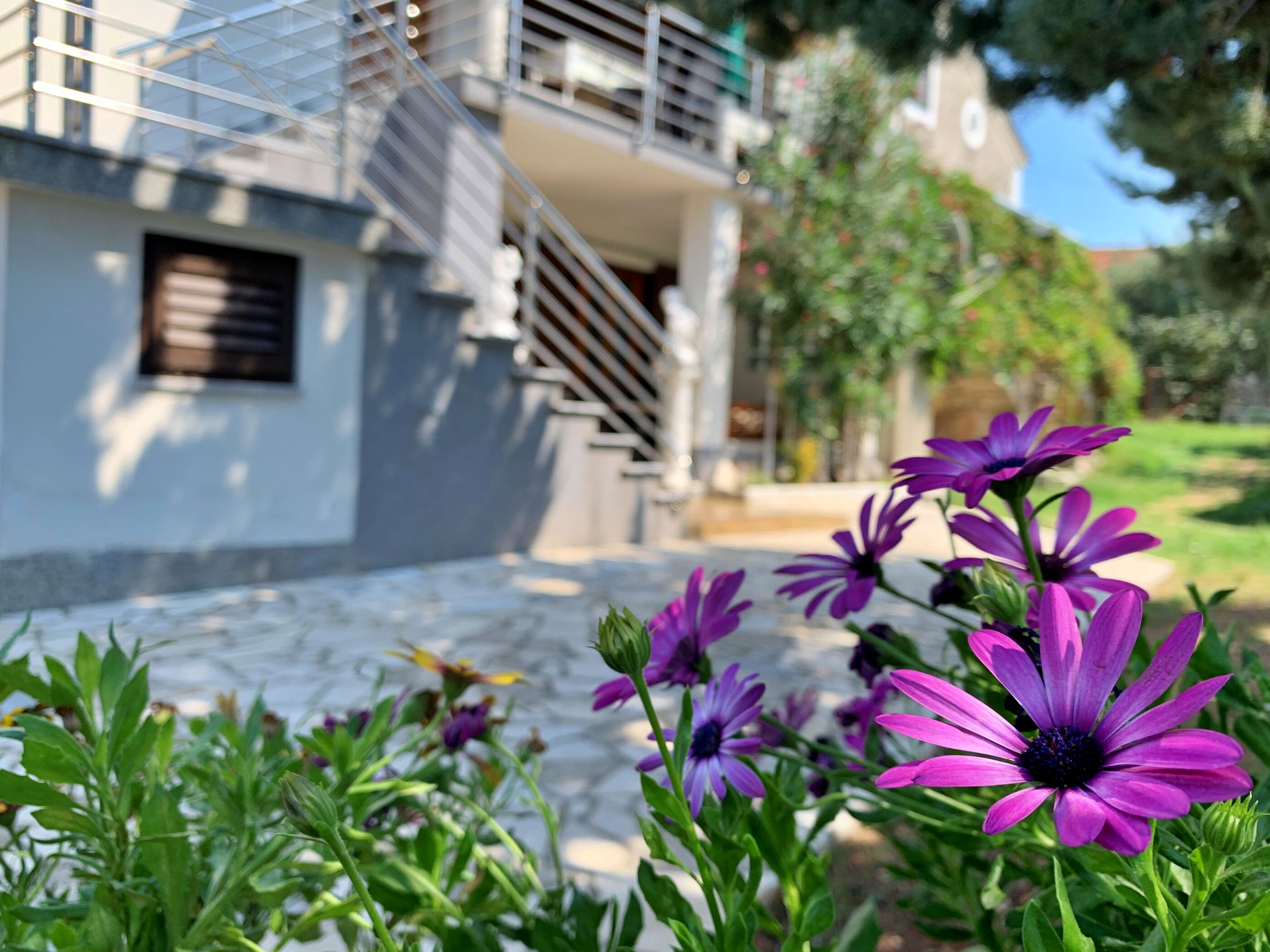Apartments Volarić 63776-A1