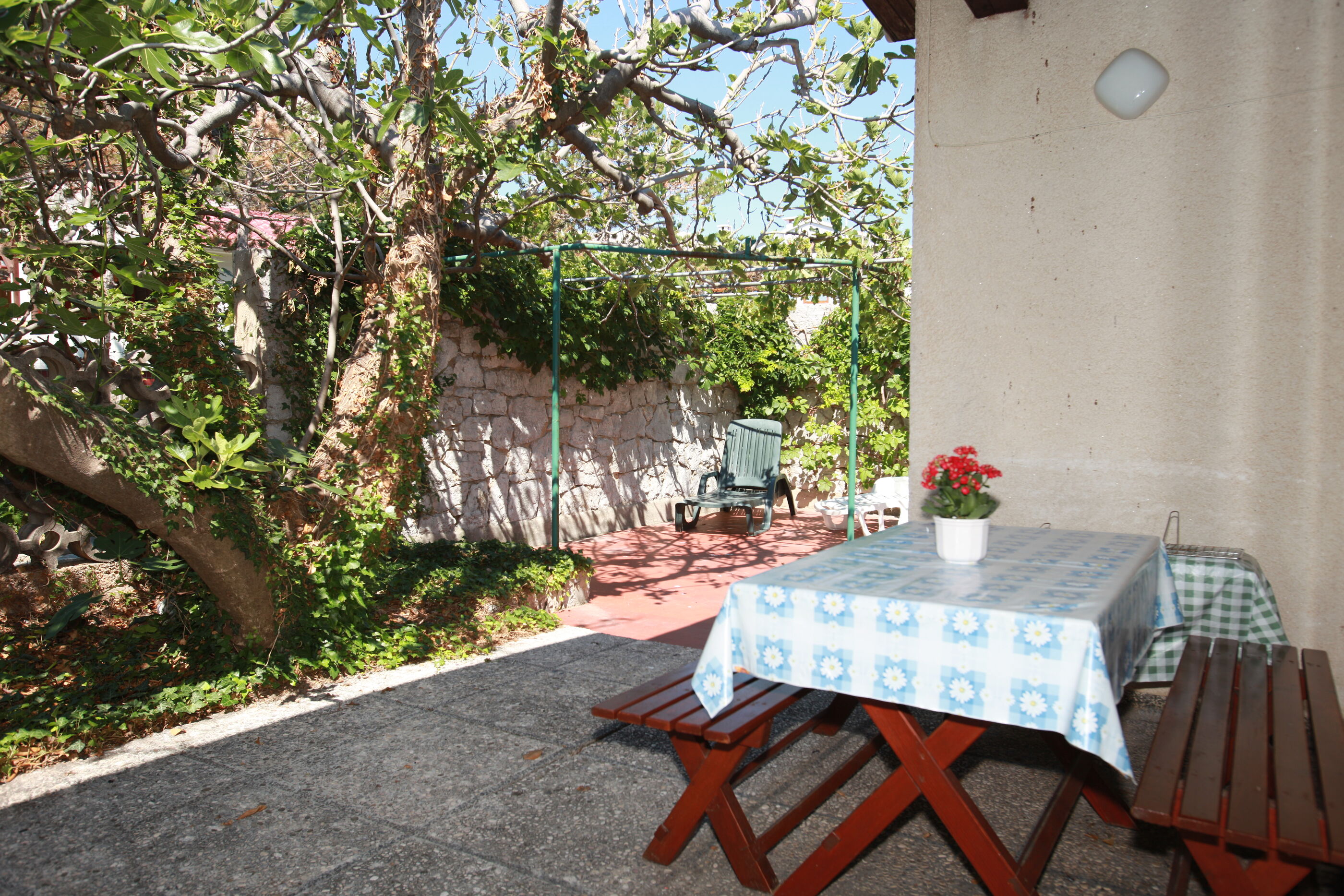 House Maja 79531-K1