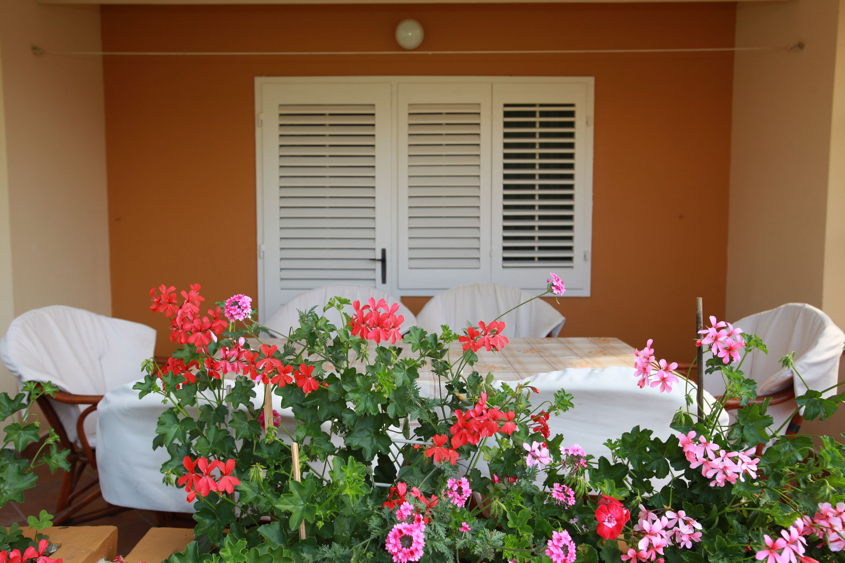 Apartments and Room Jagoda 79538-A1