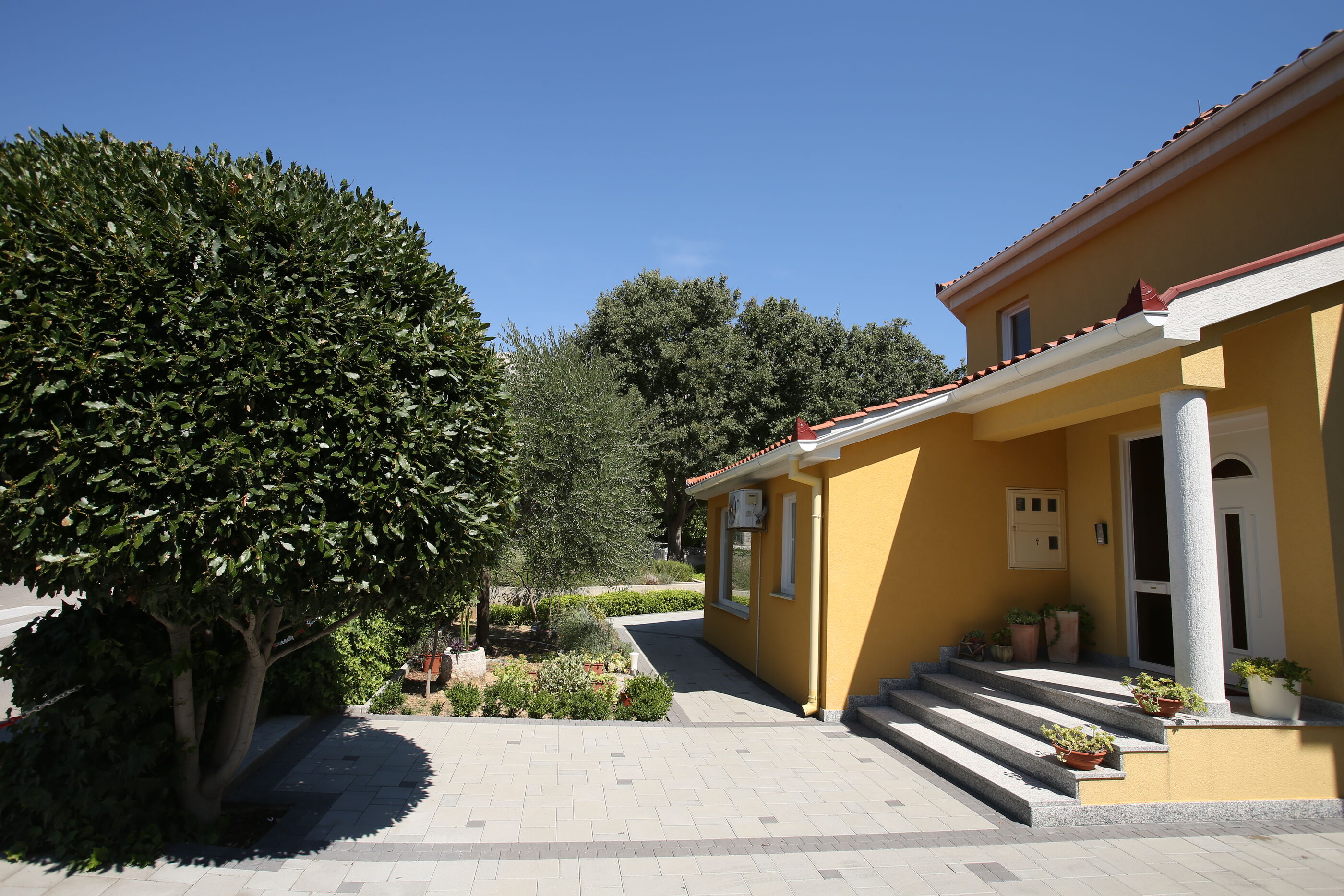 Apartments Ivanka 79621-A1
