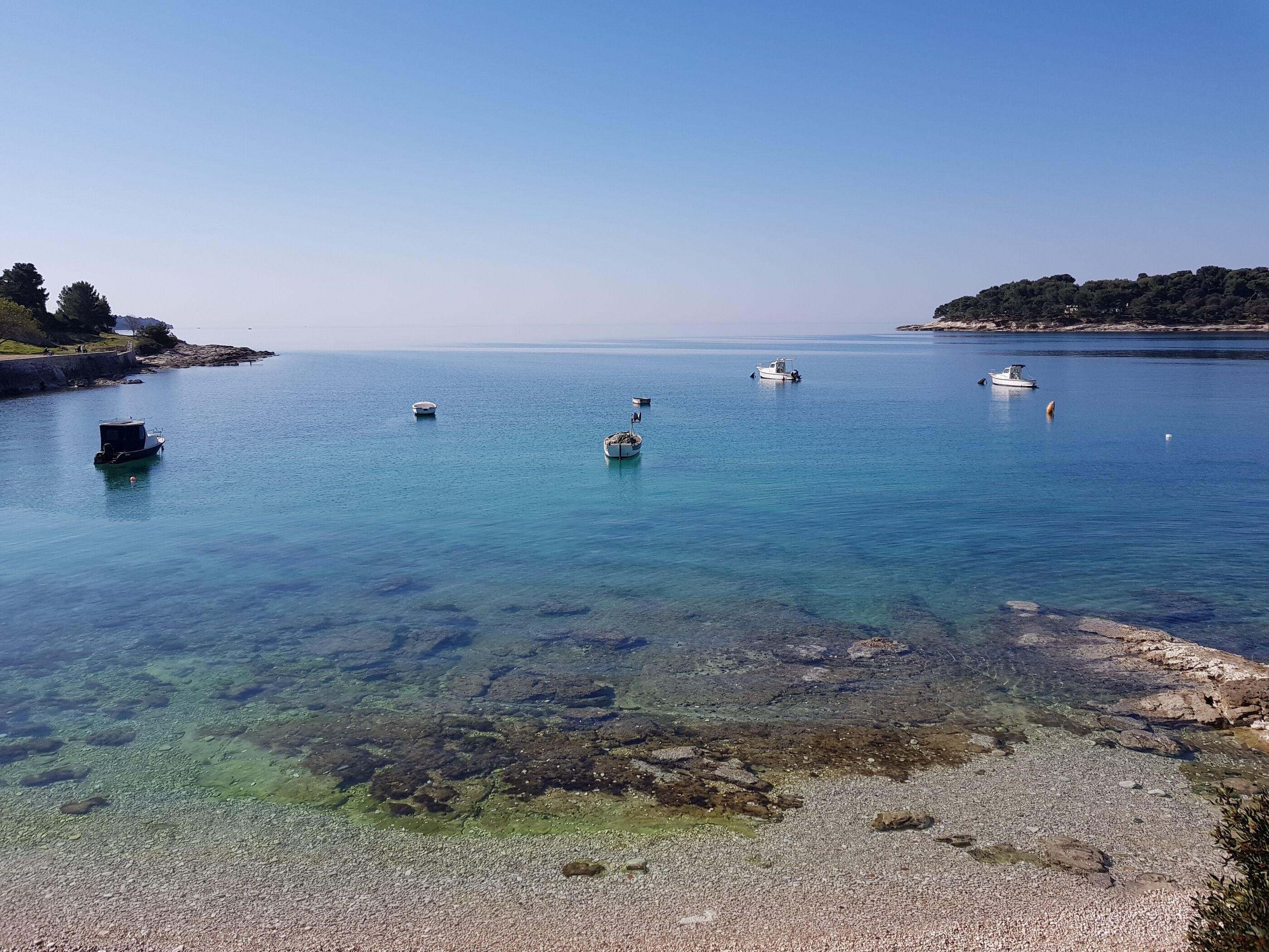 Photo of Apartments Petra near beach