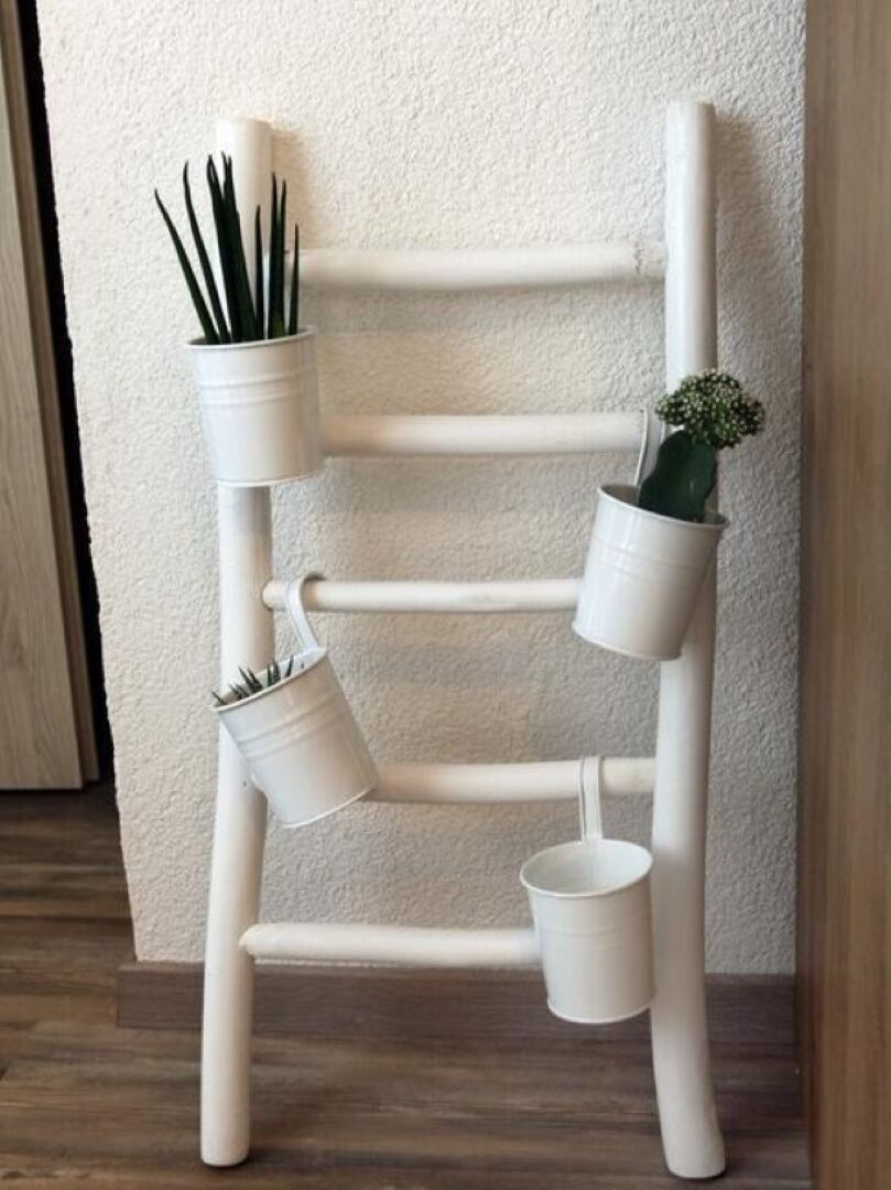 Photo of Apartment by Umag sea