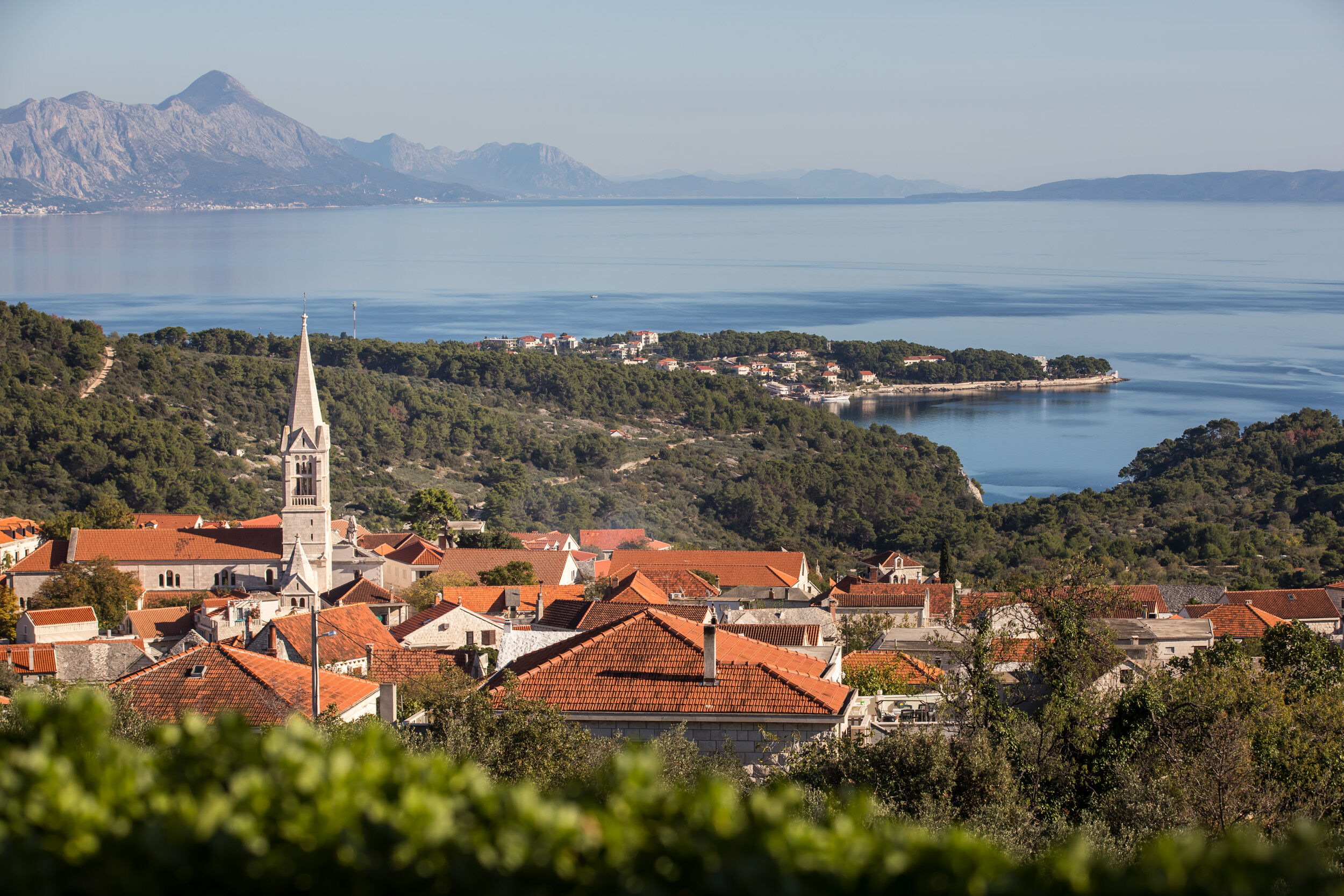 House Ivana 78943-K1