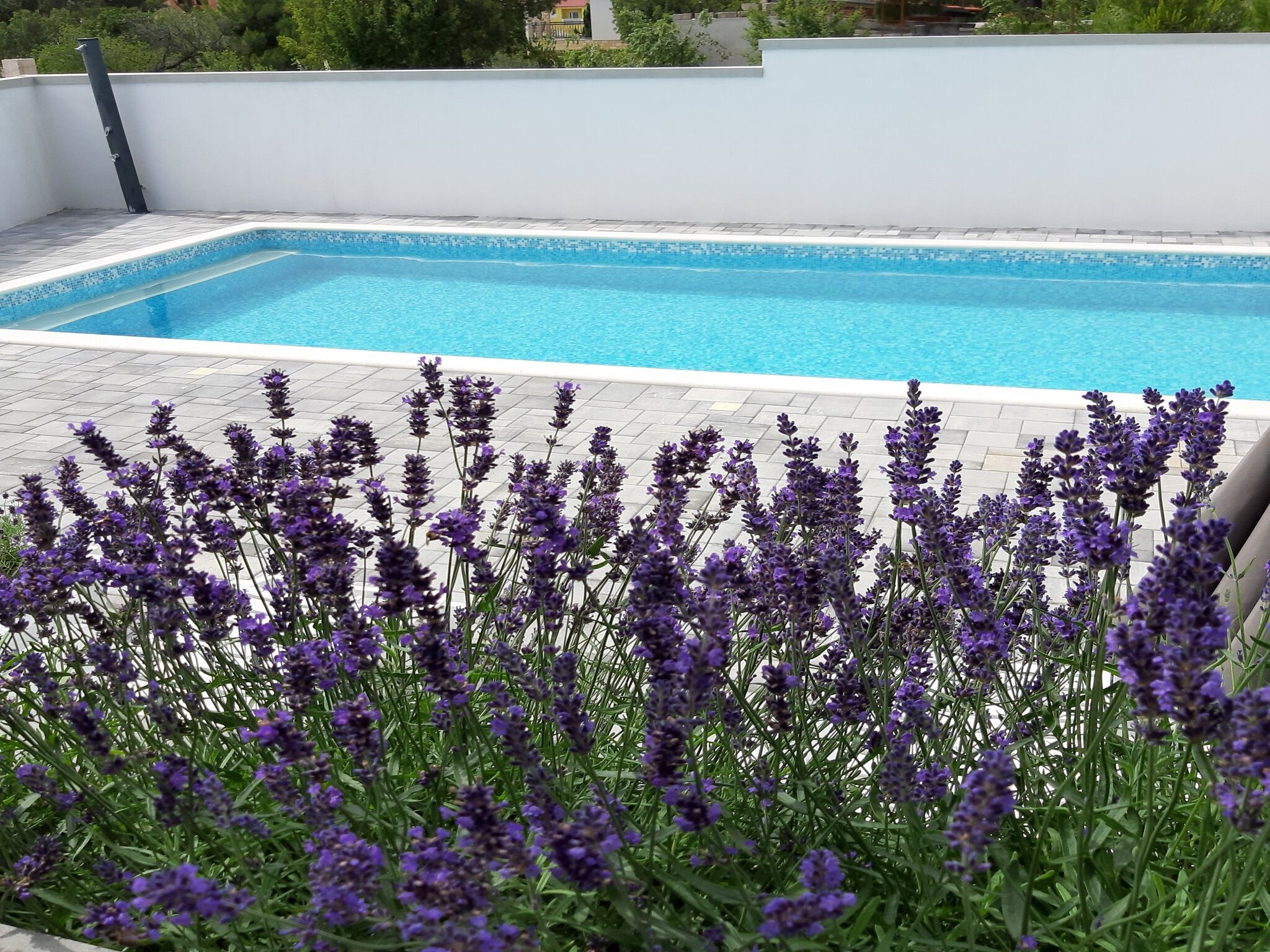 Photo of Apartments Grandevista-with swimmingpool