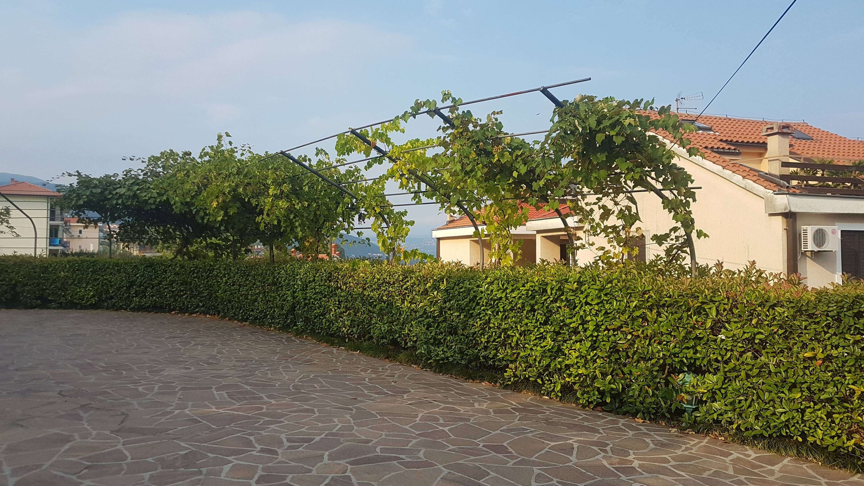 Photo of Apartments Barbara