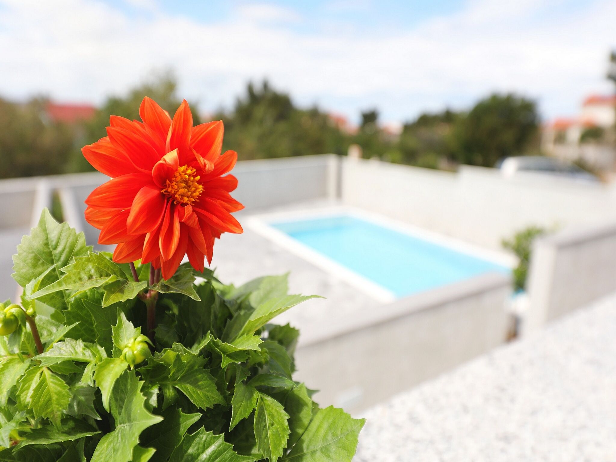 Apartments Grandevista-with swimmingpool 79841-A3