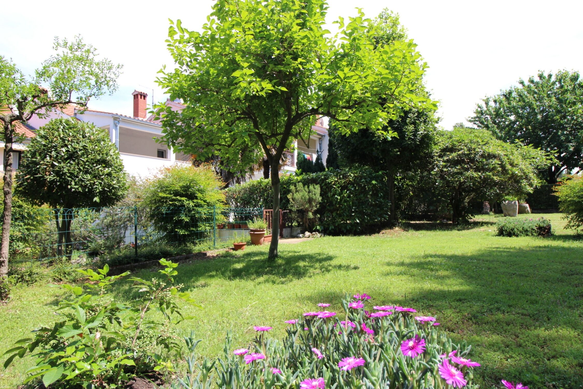Apartment Stefani blizu mora 63718-A1