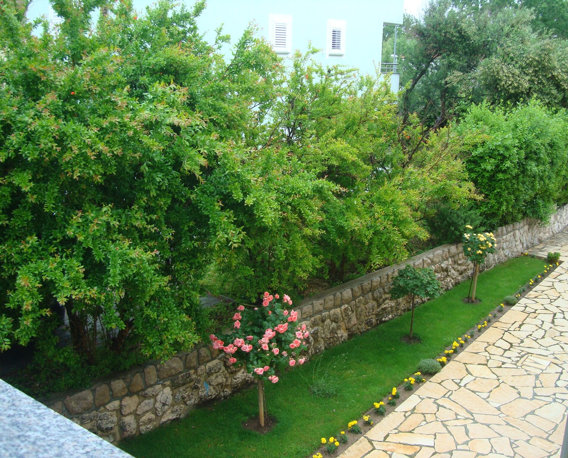 Apartment Lavendel (P. Dorcica) 69037-A1
