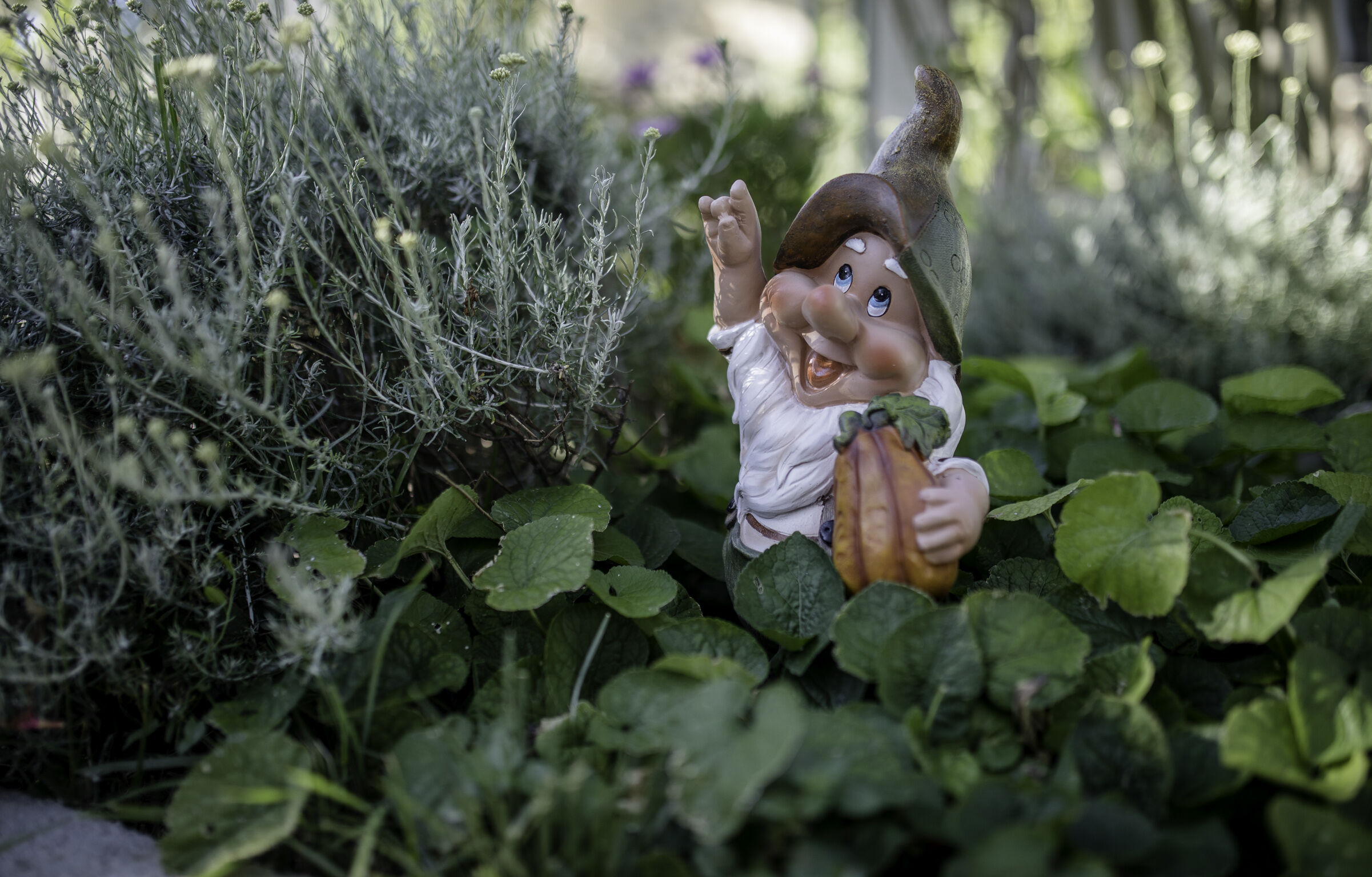 Photo of House Predrag