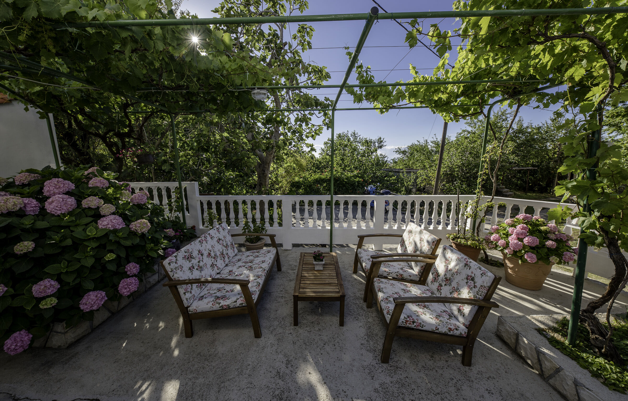 Photo of House Predrag