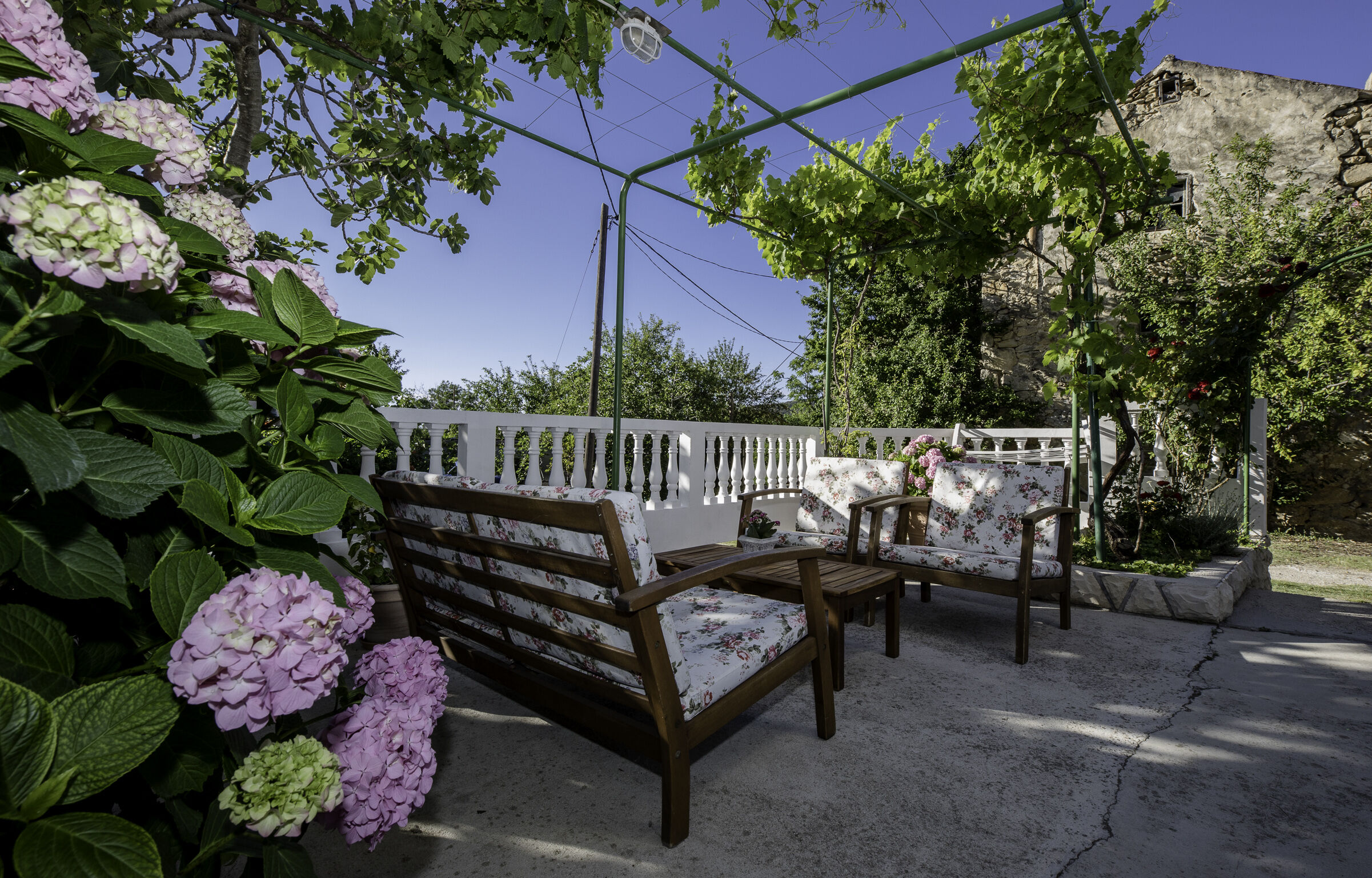 Photo of House Predrag