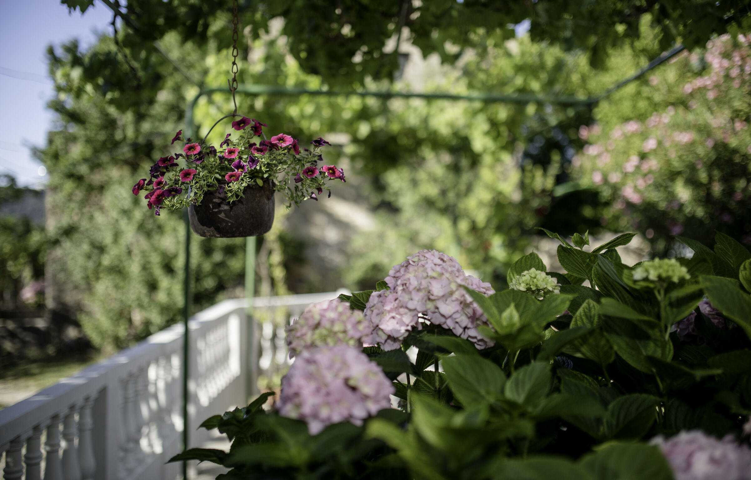 Photo of House Predrag