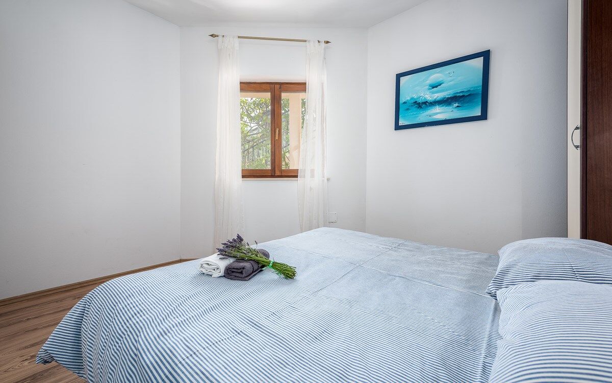 Casa Drenje 16279-A6