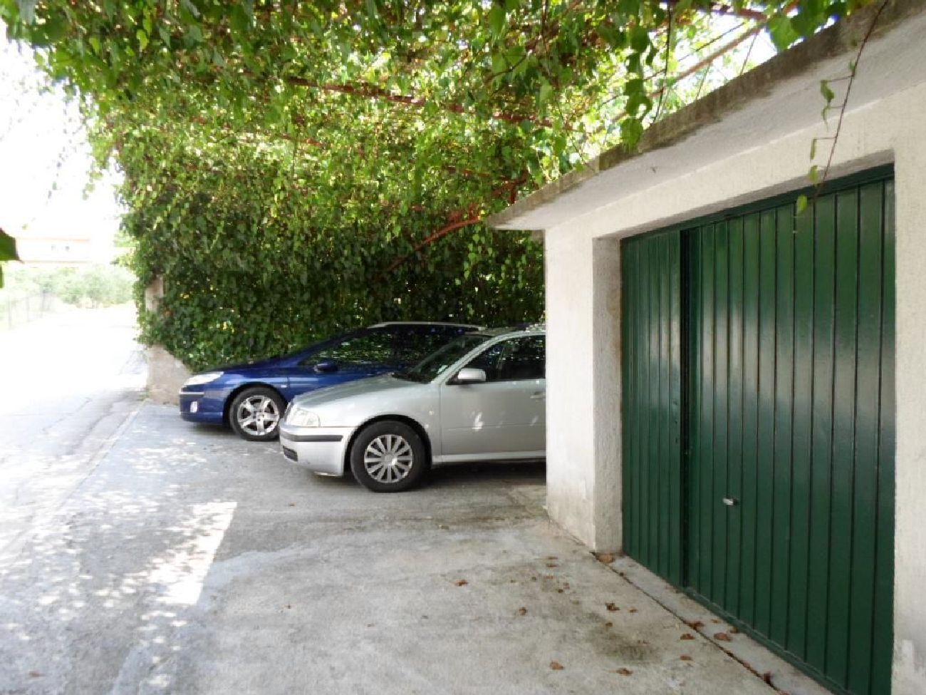 Apartments Miodrag 12831-A2