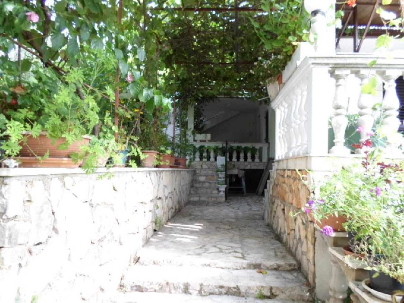 Apartments Miodrag 12831-A2