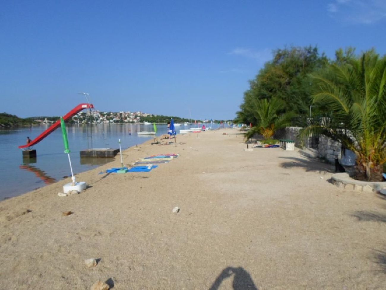 Apartments Miodrag 12831-A2
