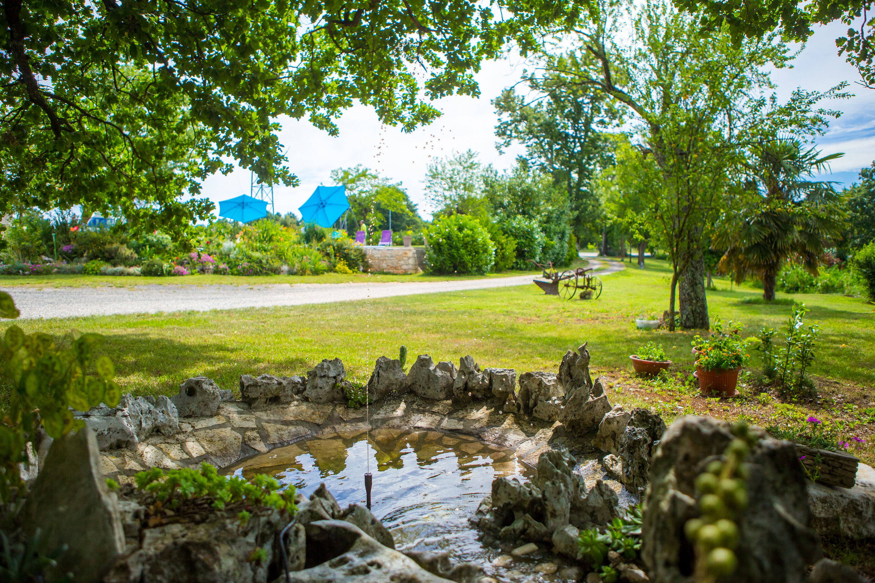 Photo of Apartment Napoleon