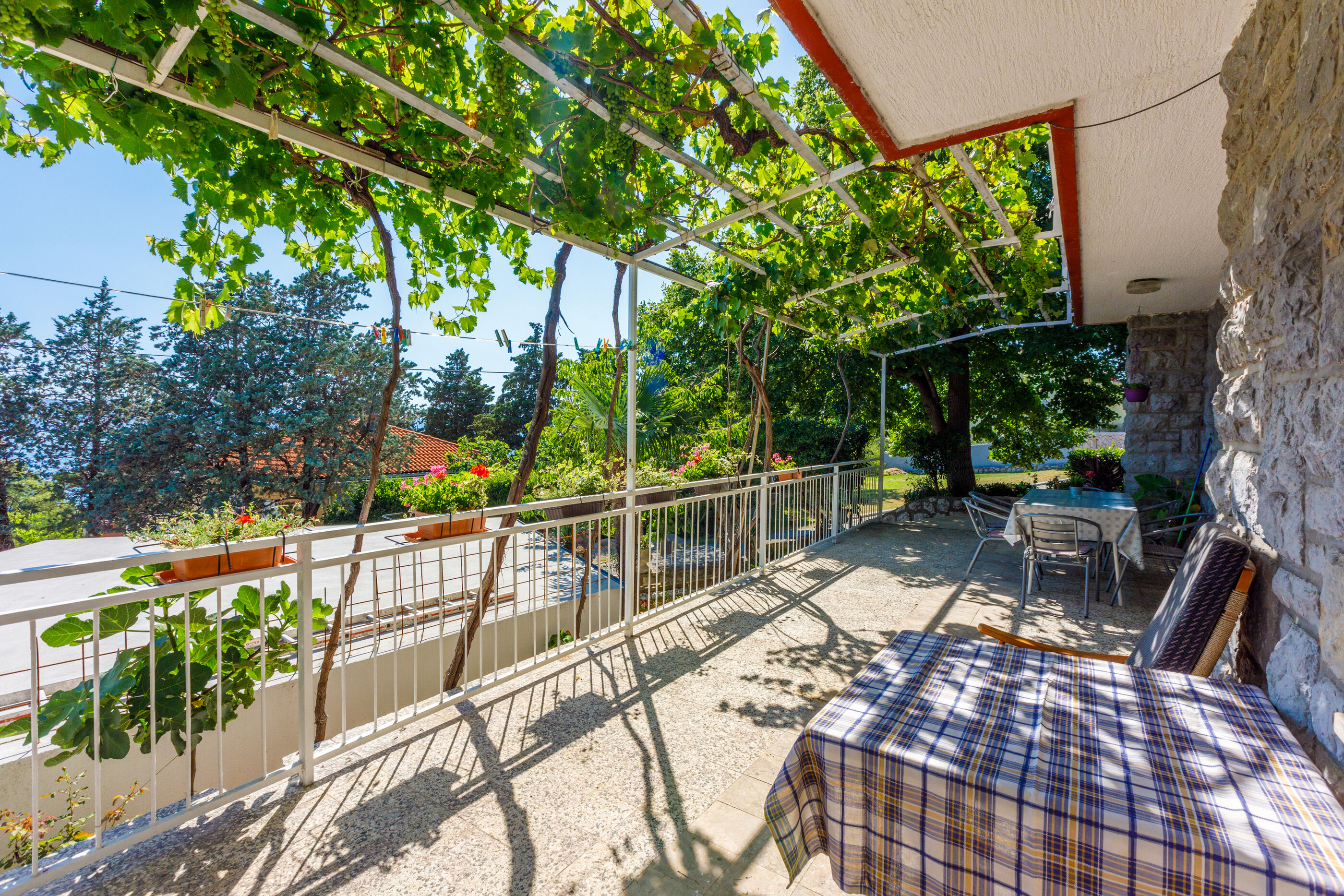 Apartment LEO NONA 62586-A1