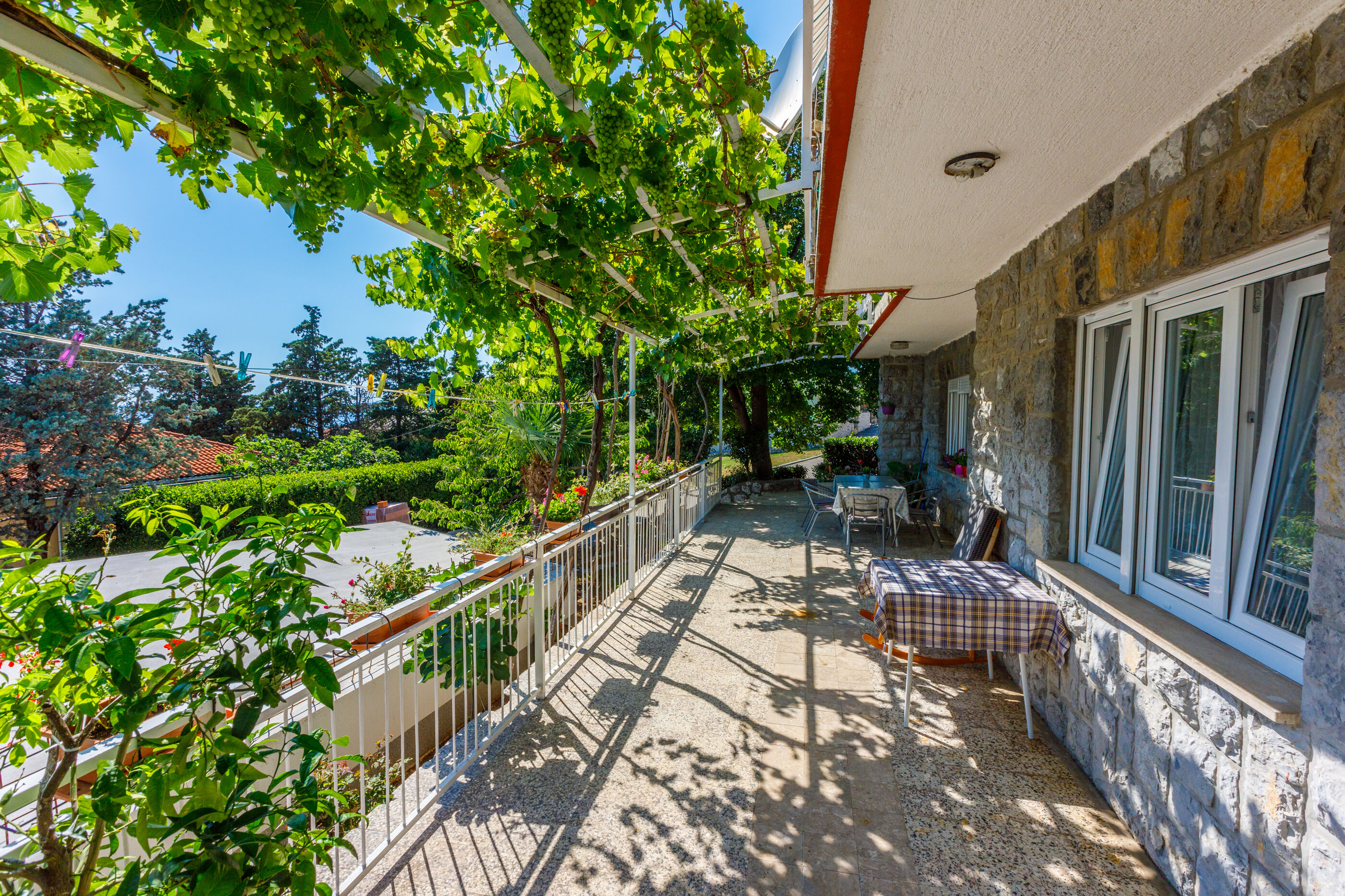 Apartment LEO NONA 62586-A1