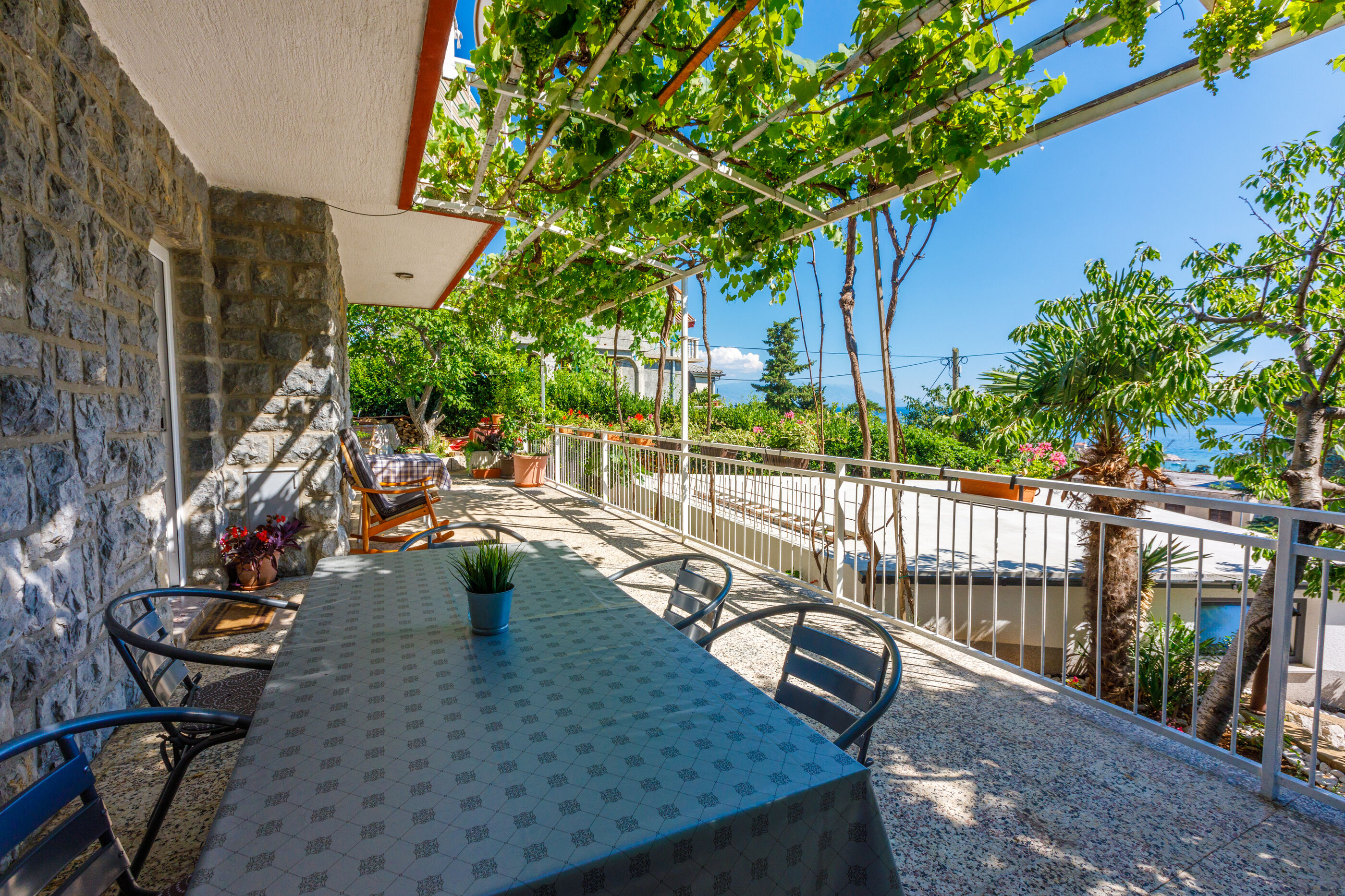 Apartment LEO NONA 62586-A1