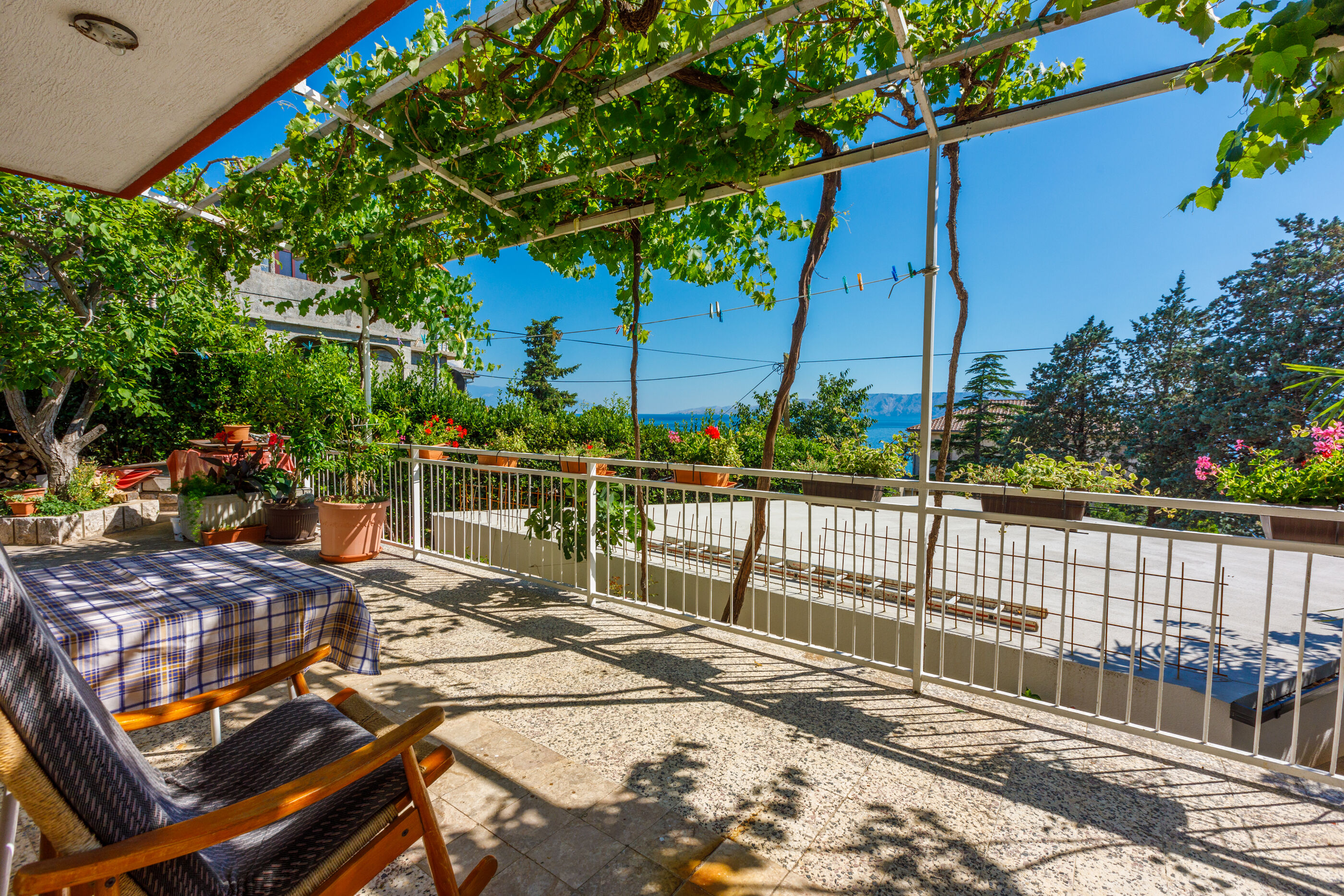 Apartment LEO NONA 62586-A1