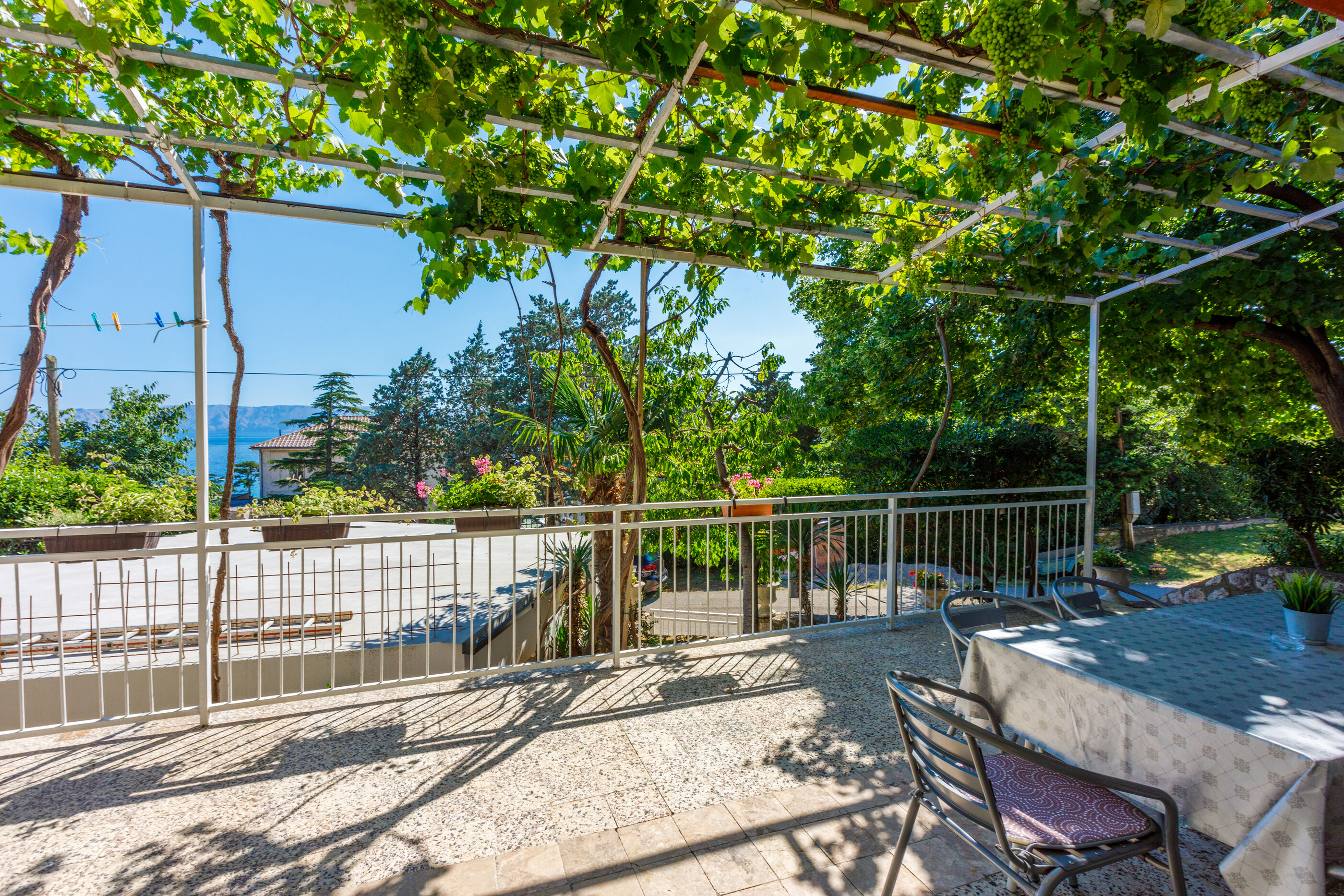 Apartment LEO NONA 62586-A1