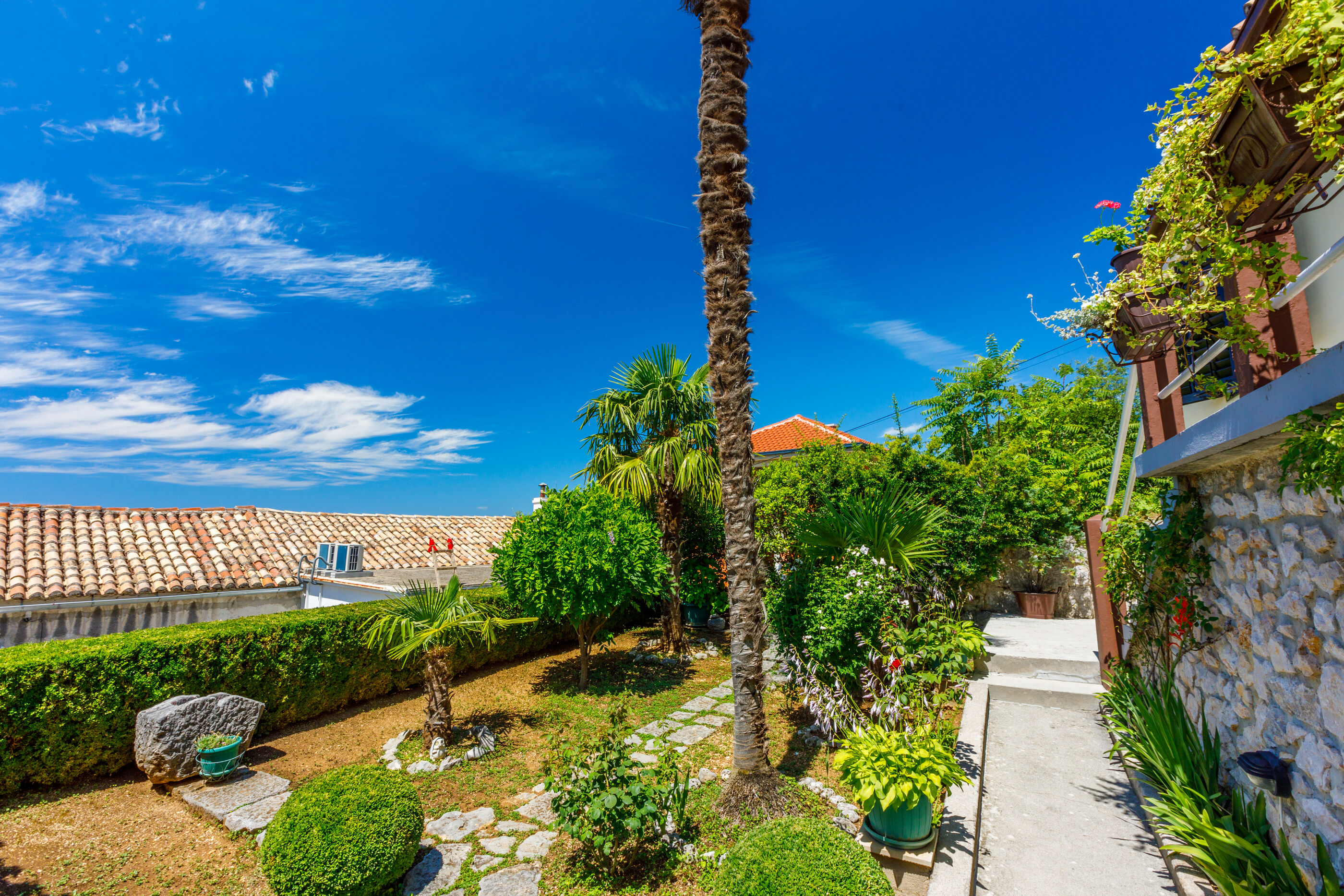 House BILJANA 62536-A1