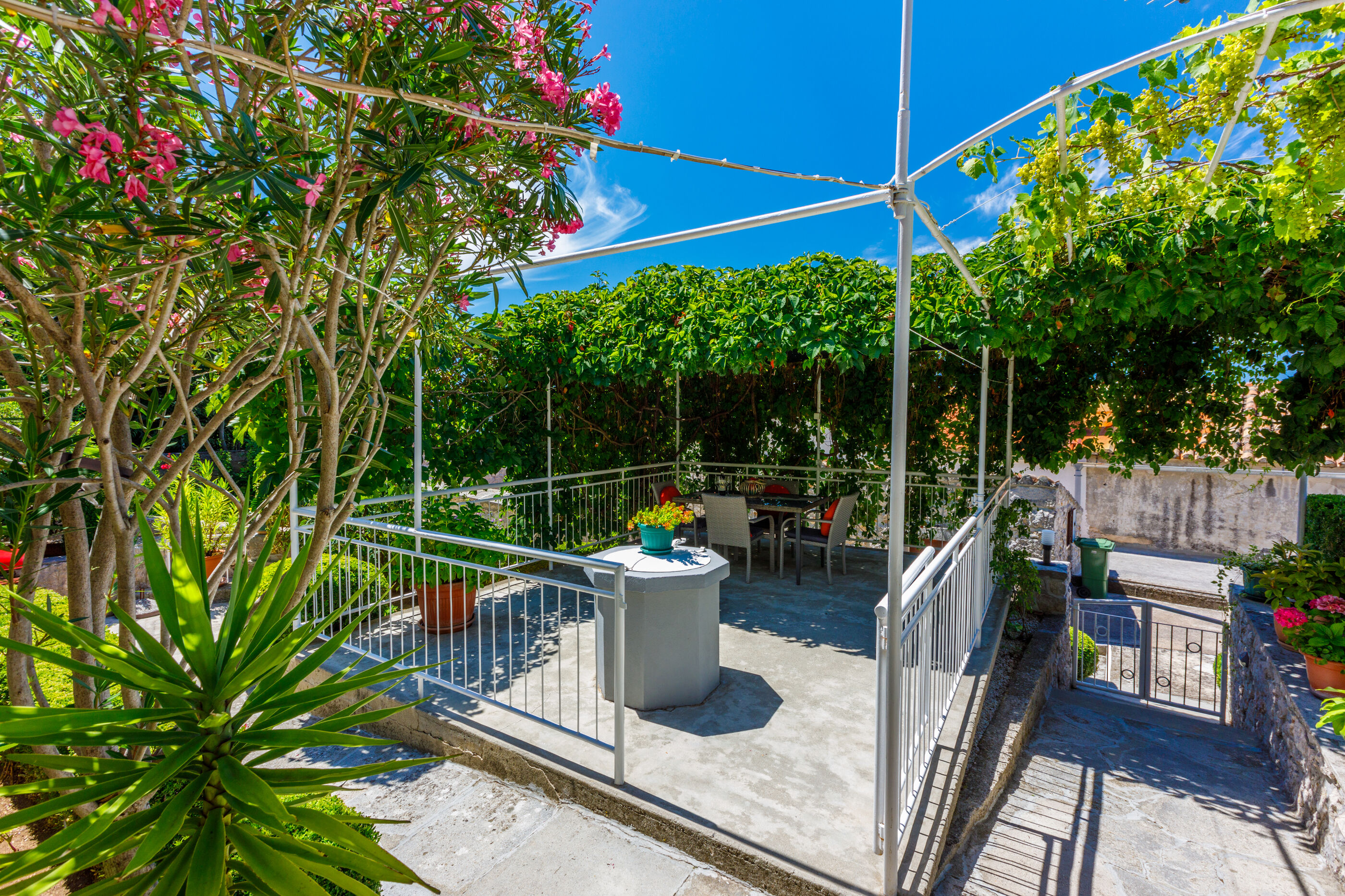House BILJANA 62536-A1
