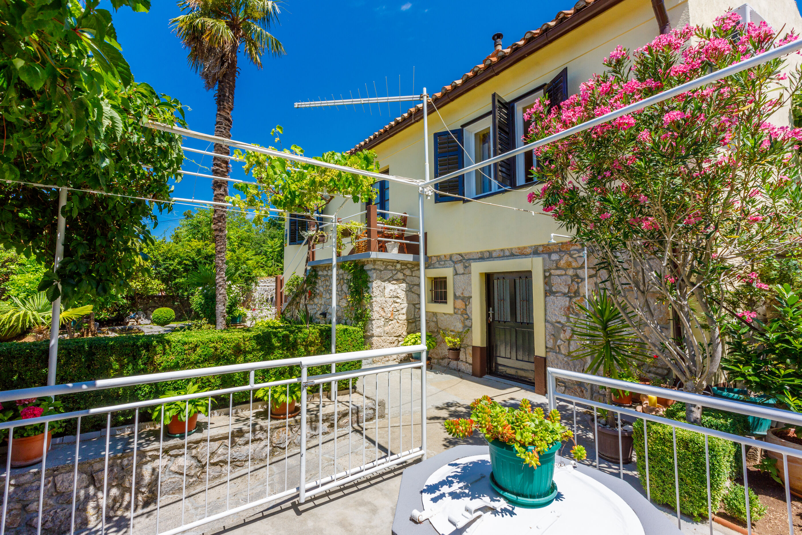 House BILJANA 62536-A1