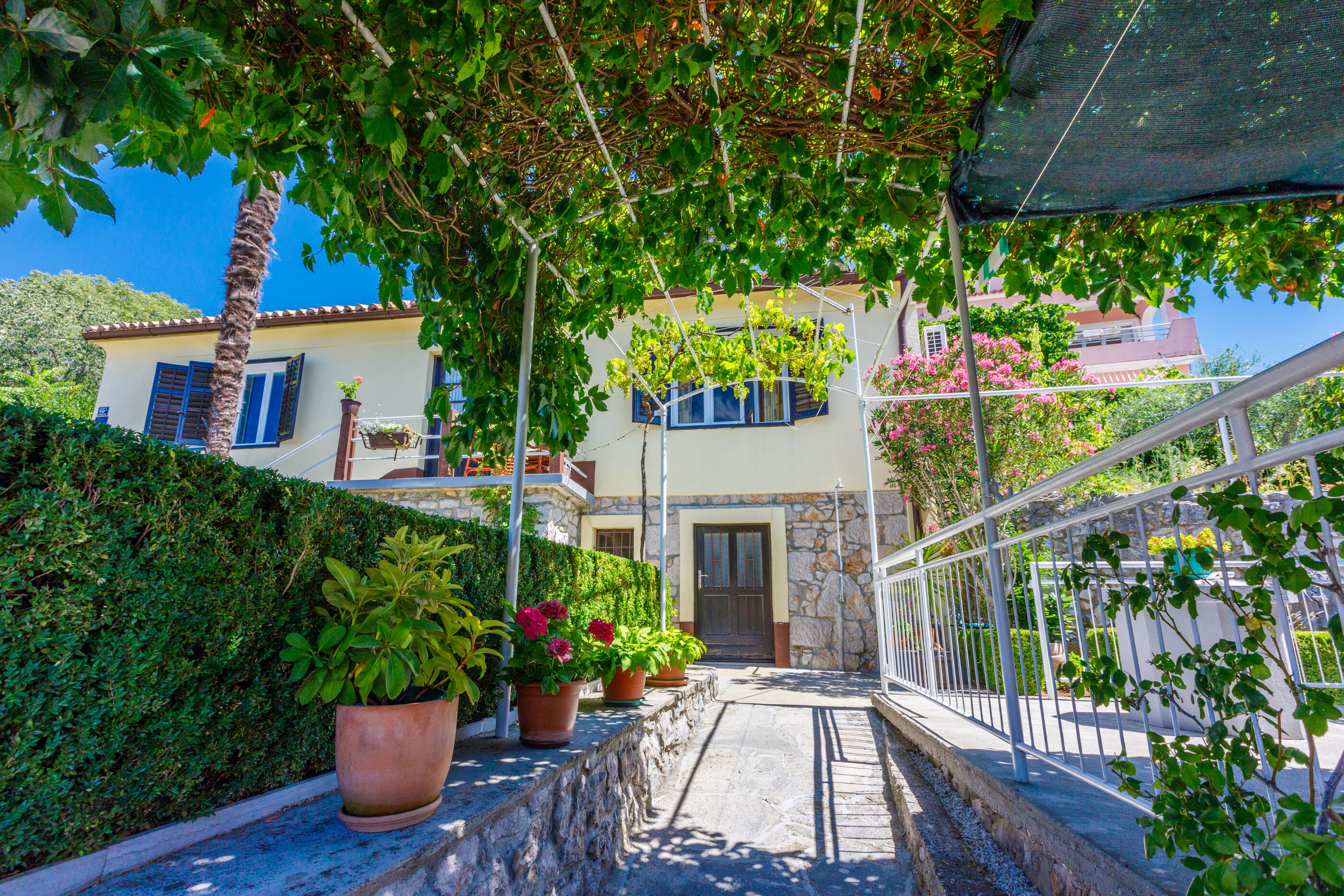 House BILJANA 62536-A1