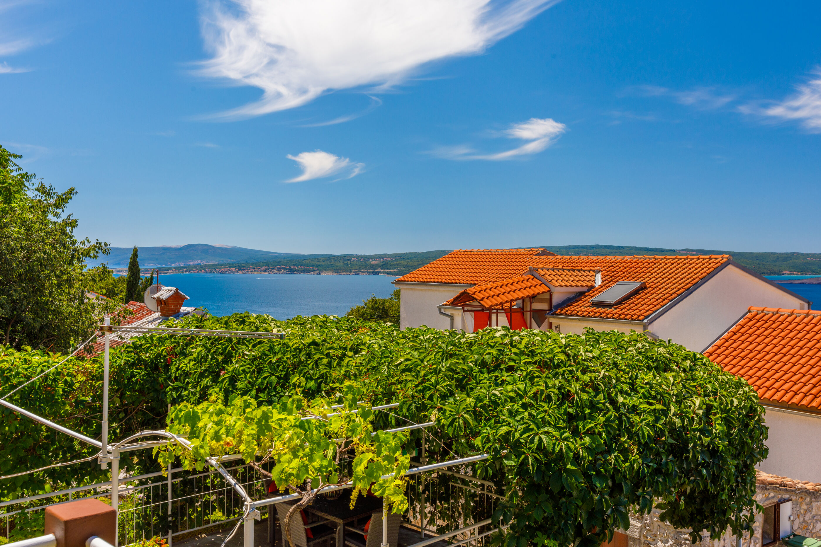 House BILJANA 62536-A1