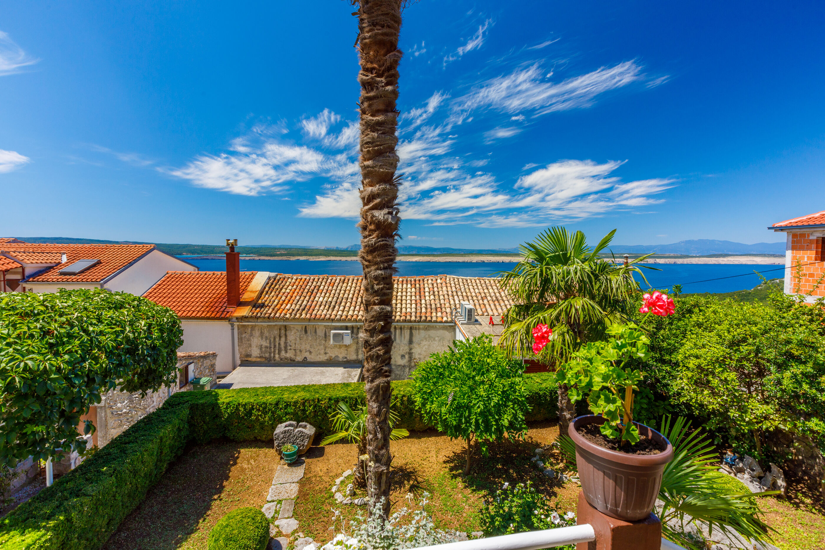 House BILJANA 62536-A1