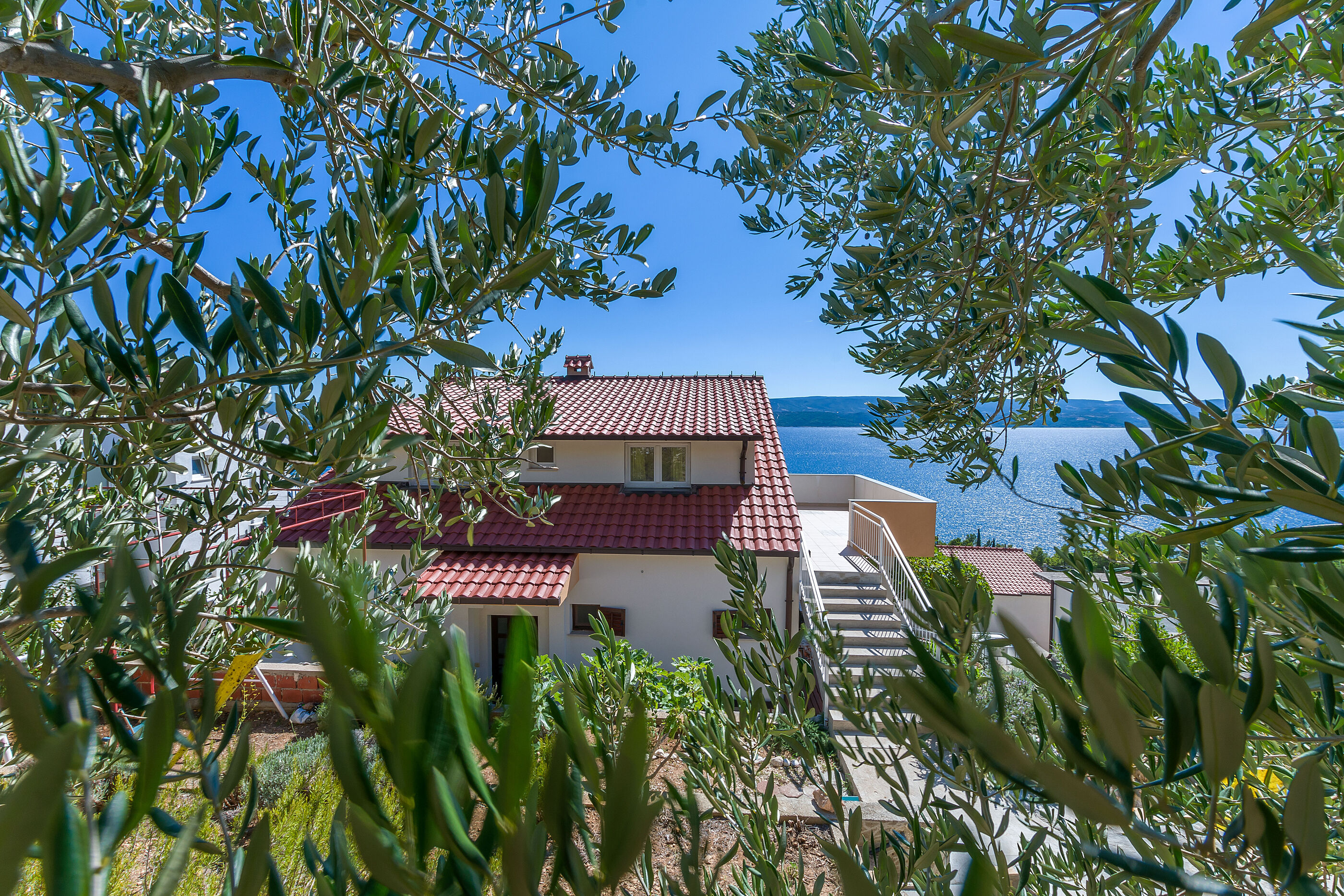 Apartments Dragana 15411-A1