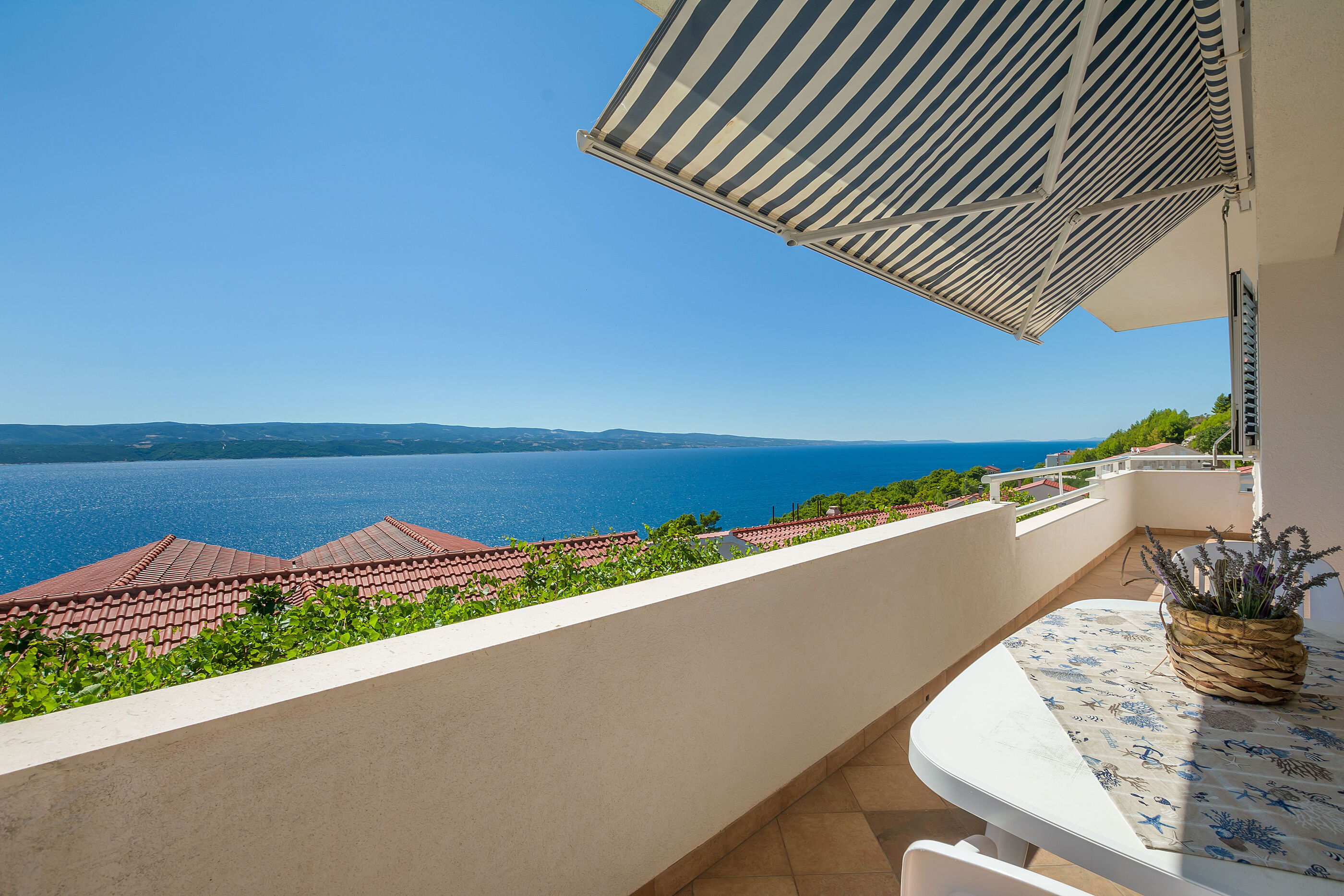 Apartments Dragana 15411-A1