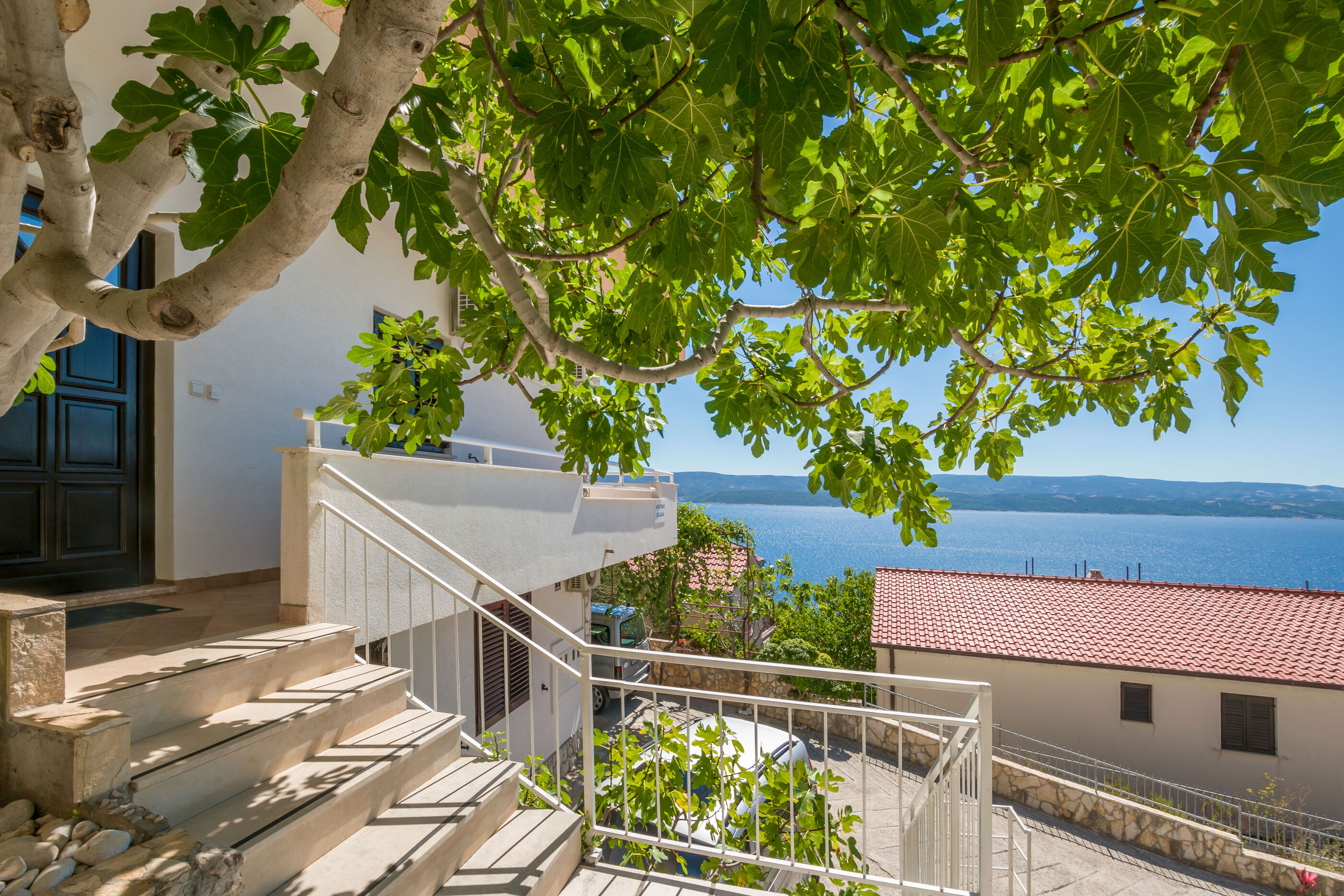 Apartments Dragana 15411-A1
