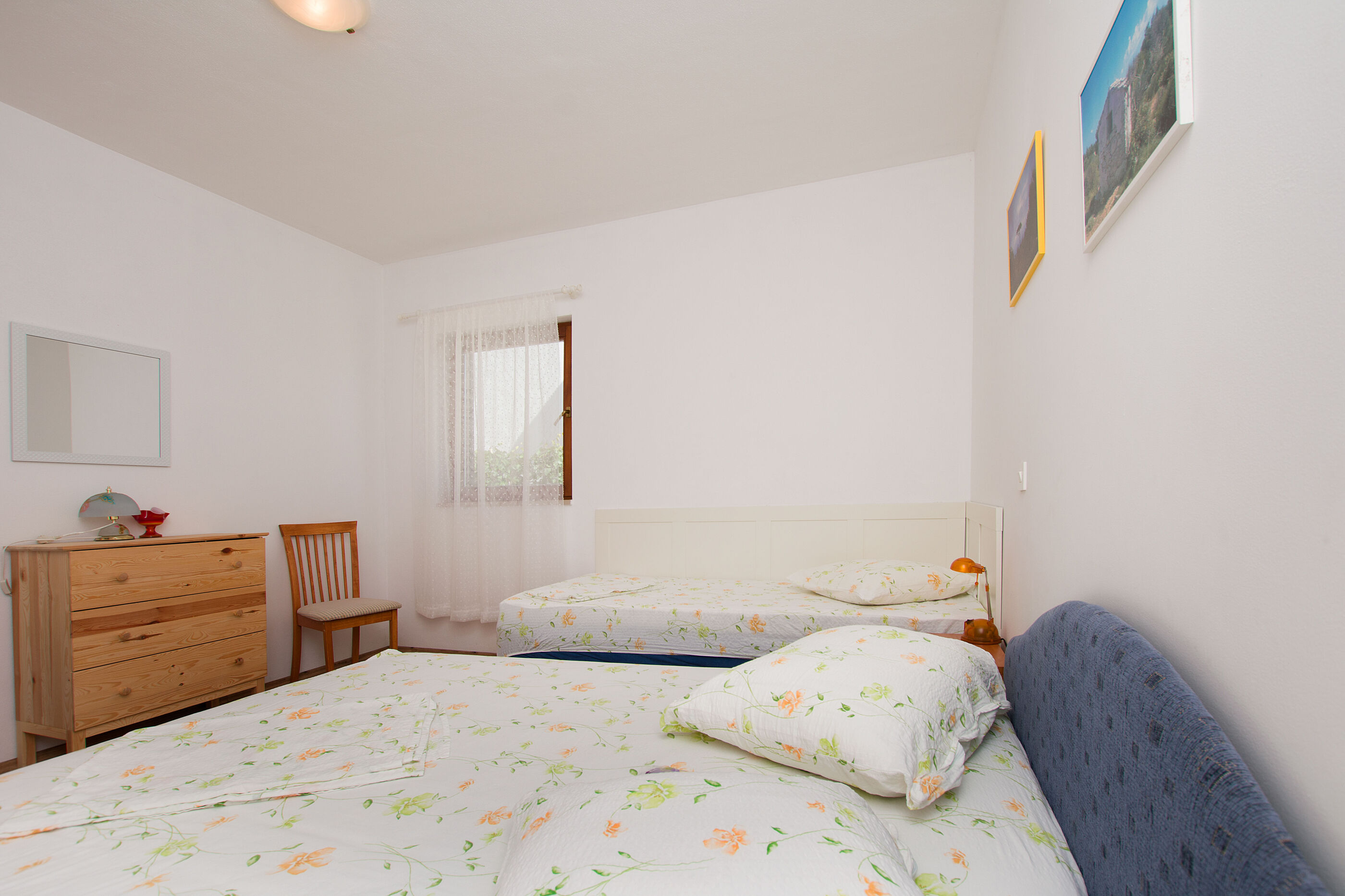 Apartments Dragana 15411-A2