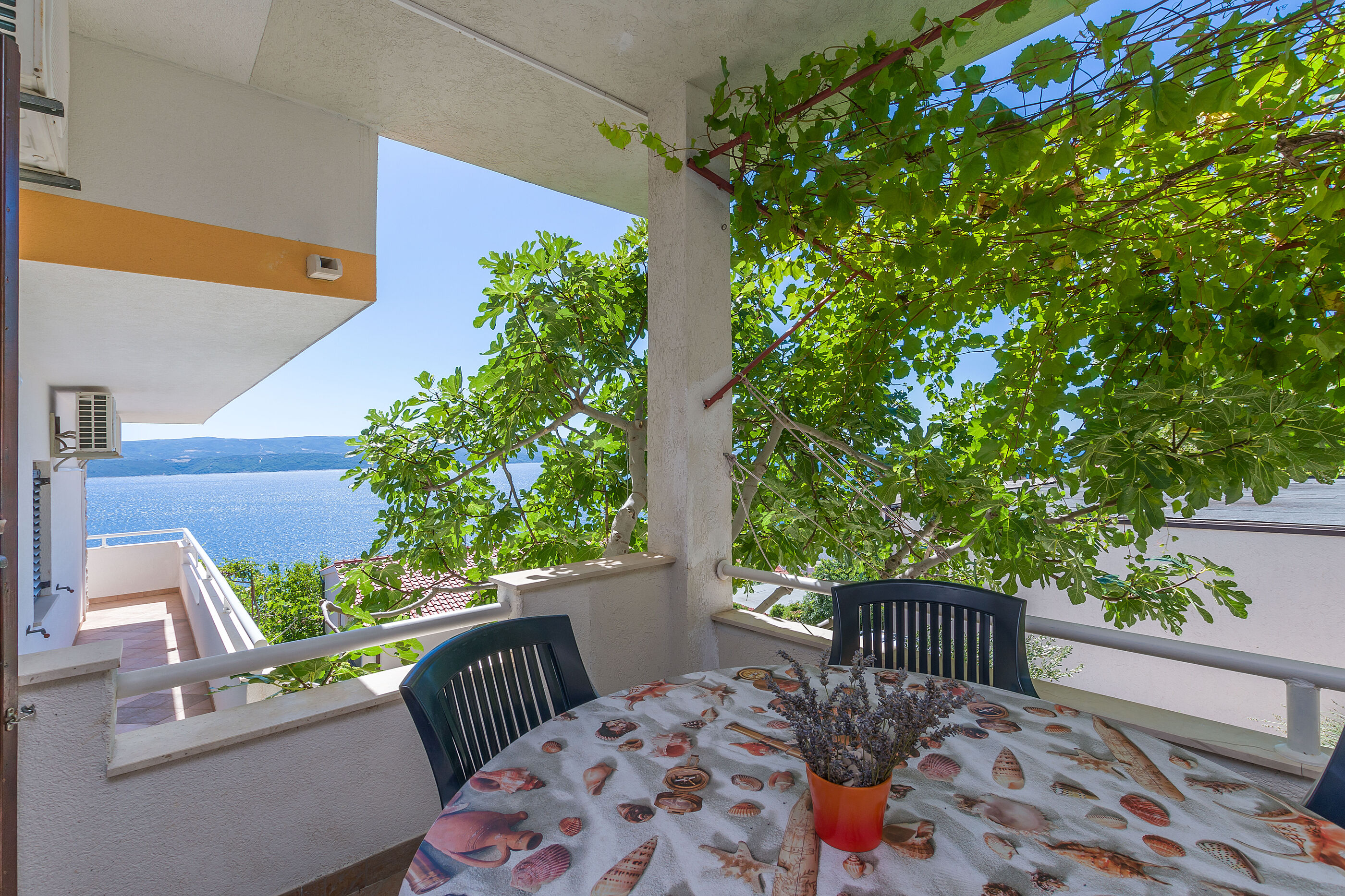 Apartments Dragana 15411-A2