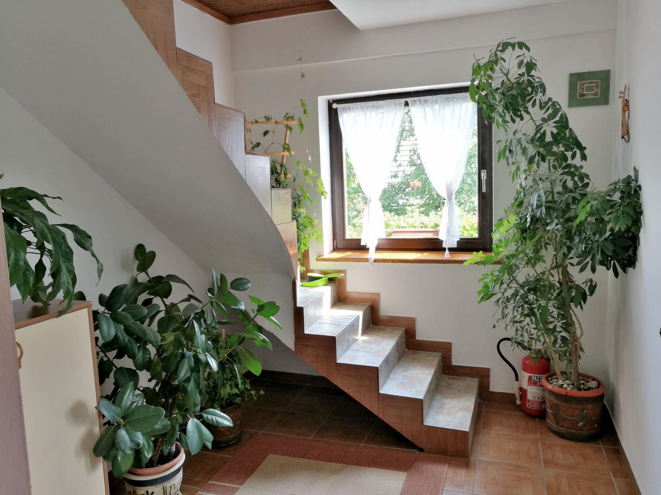 House Marica 81051-K1