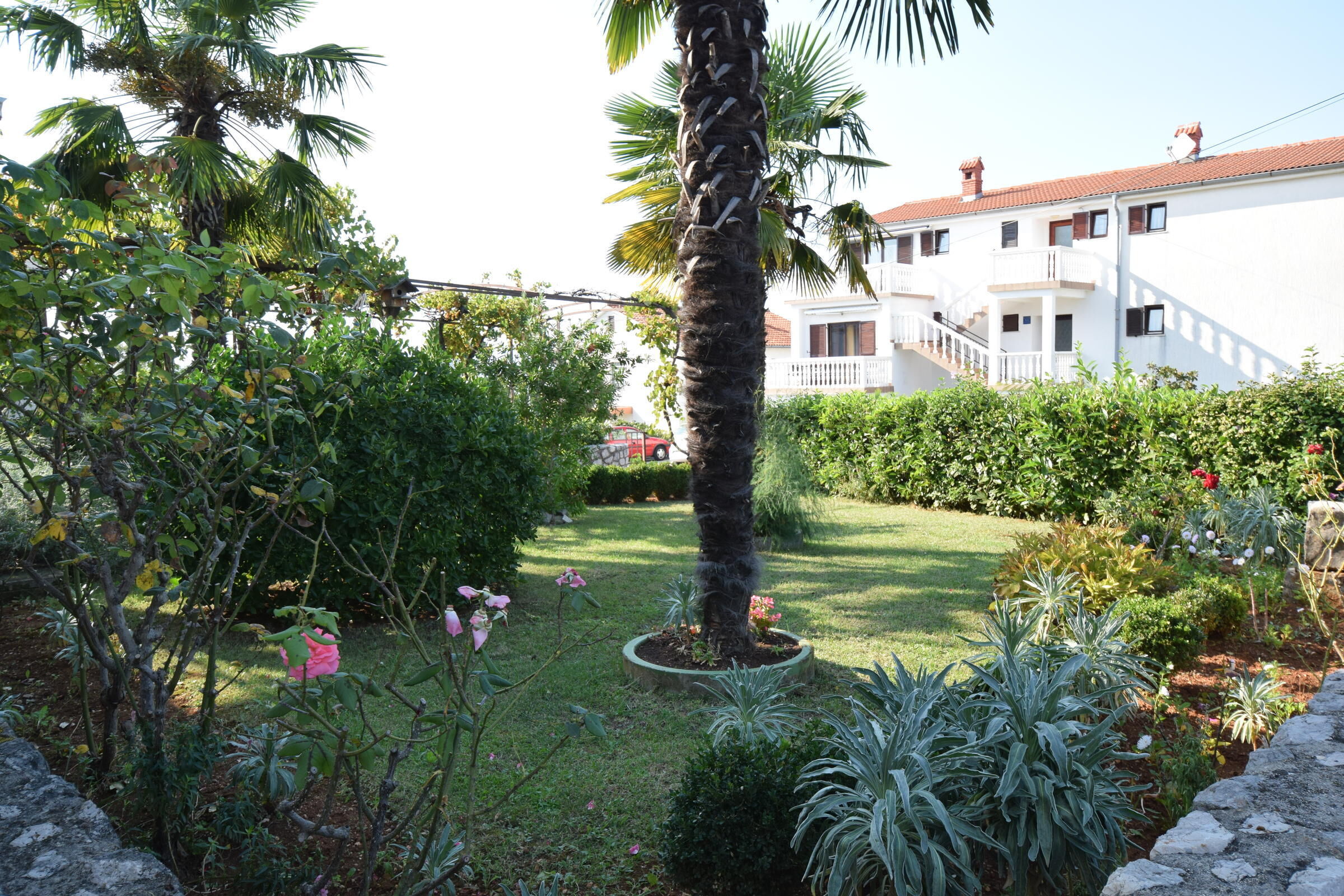 Apartment Milica 62233-A1
