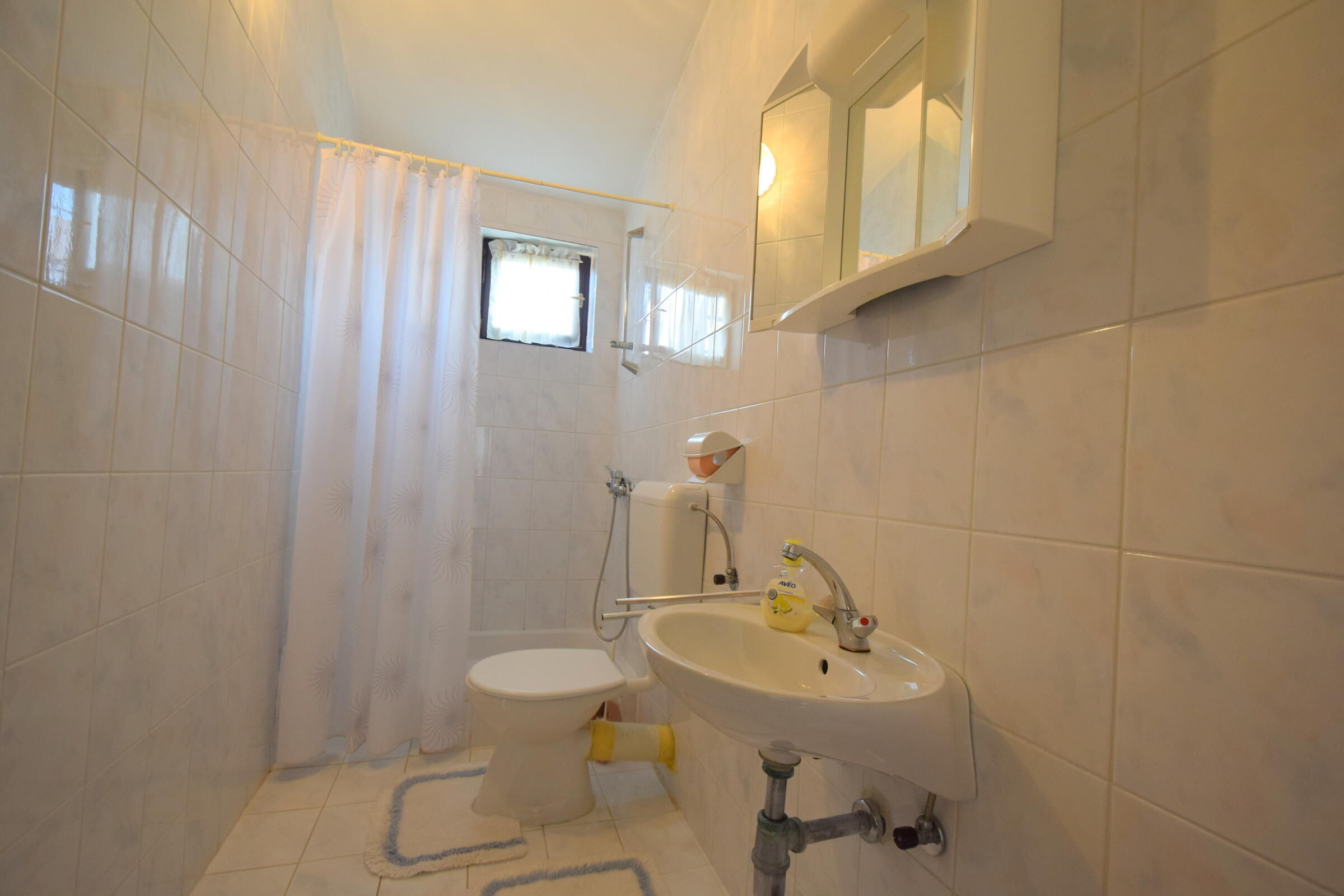 Apartment Milica 62233-A1