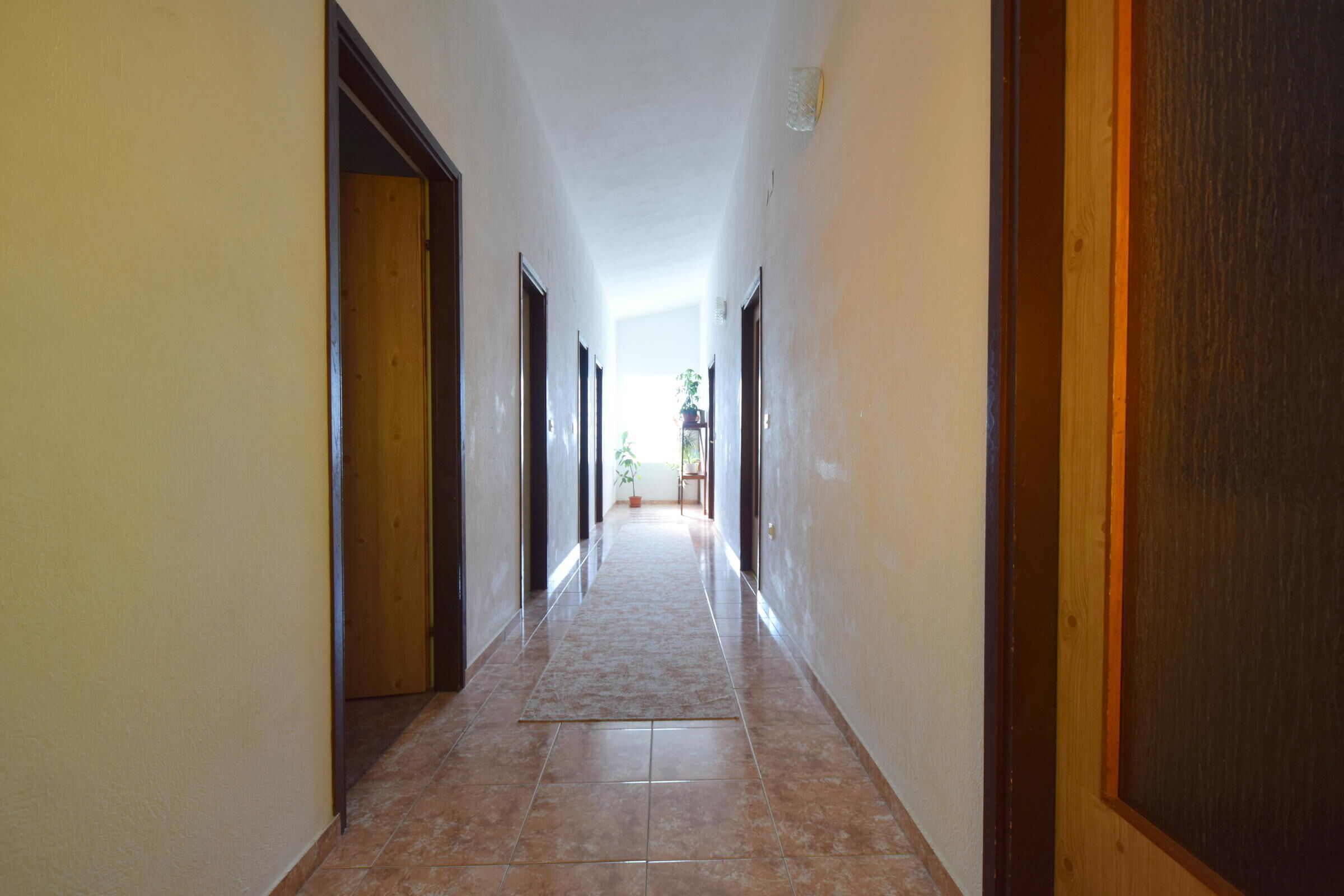 Apartment Milica 62233-A1